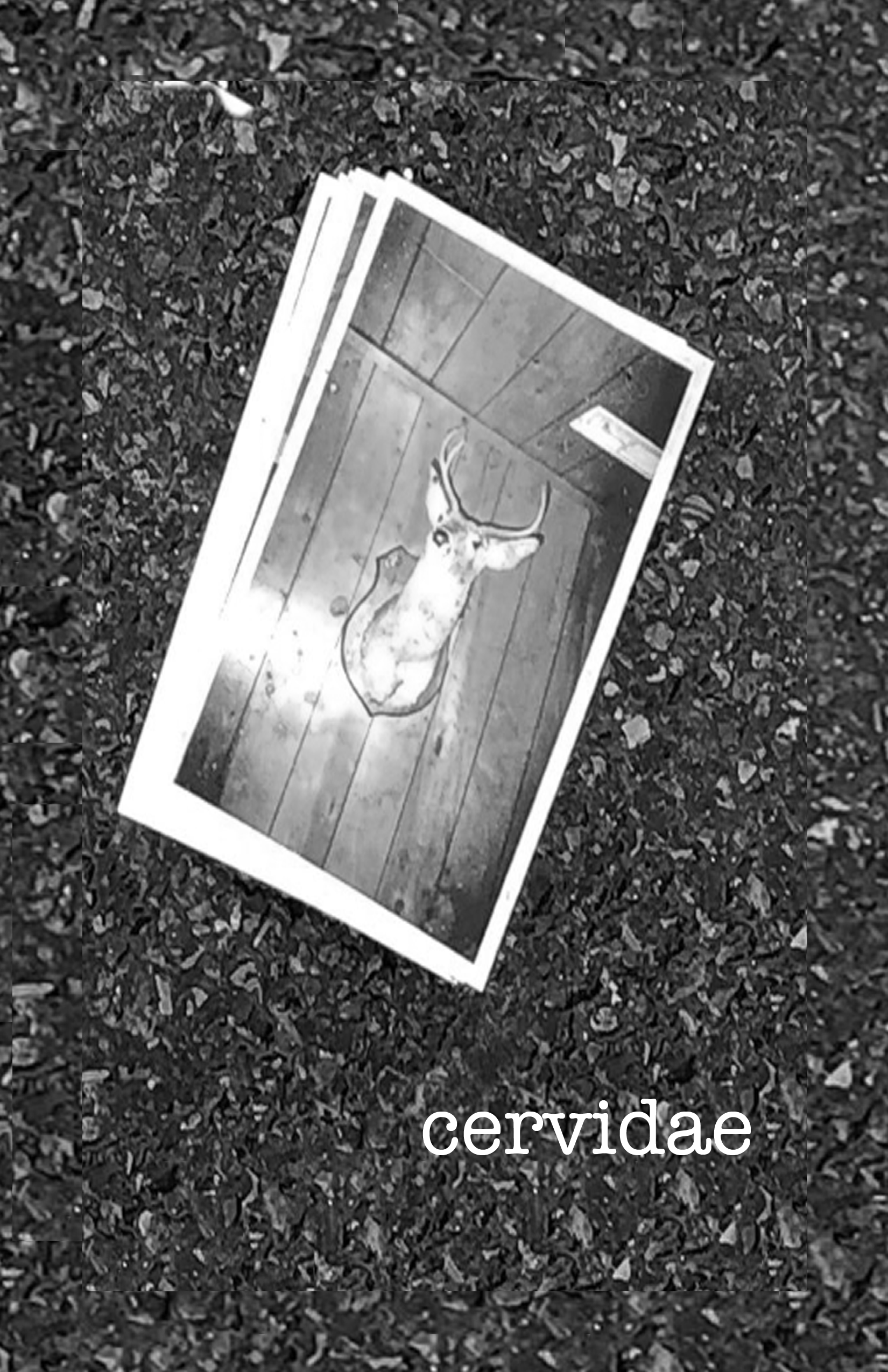 Wetlocked inside-01.png