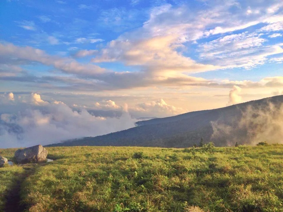 Carvers Gap — SNEW OUTDOORS