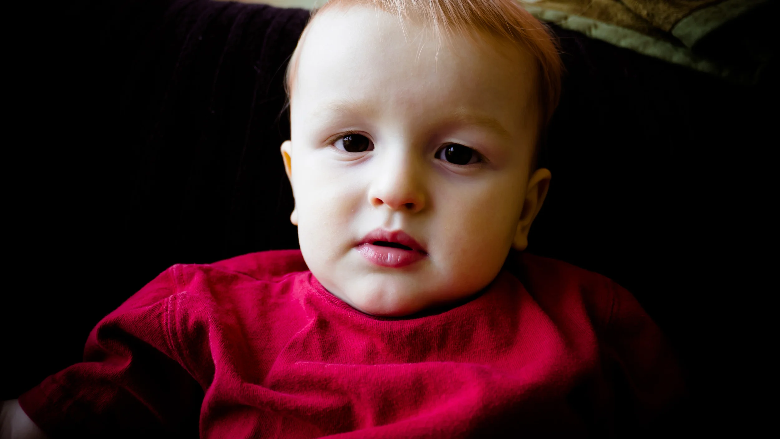 Quinn (8 of 195).jpg