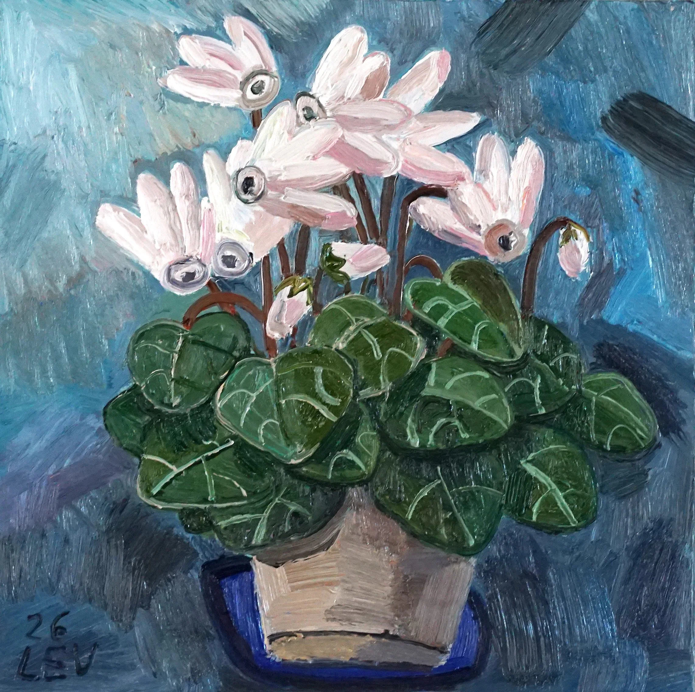 "White Cyclamen"
