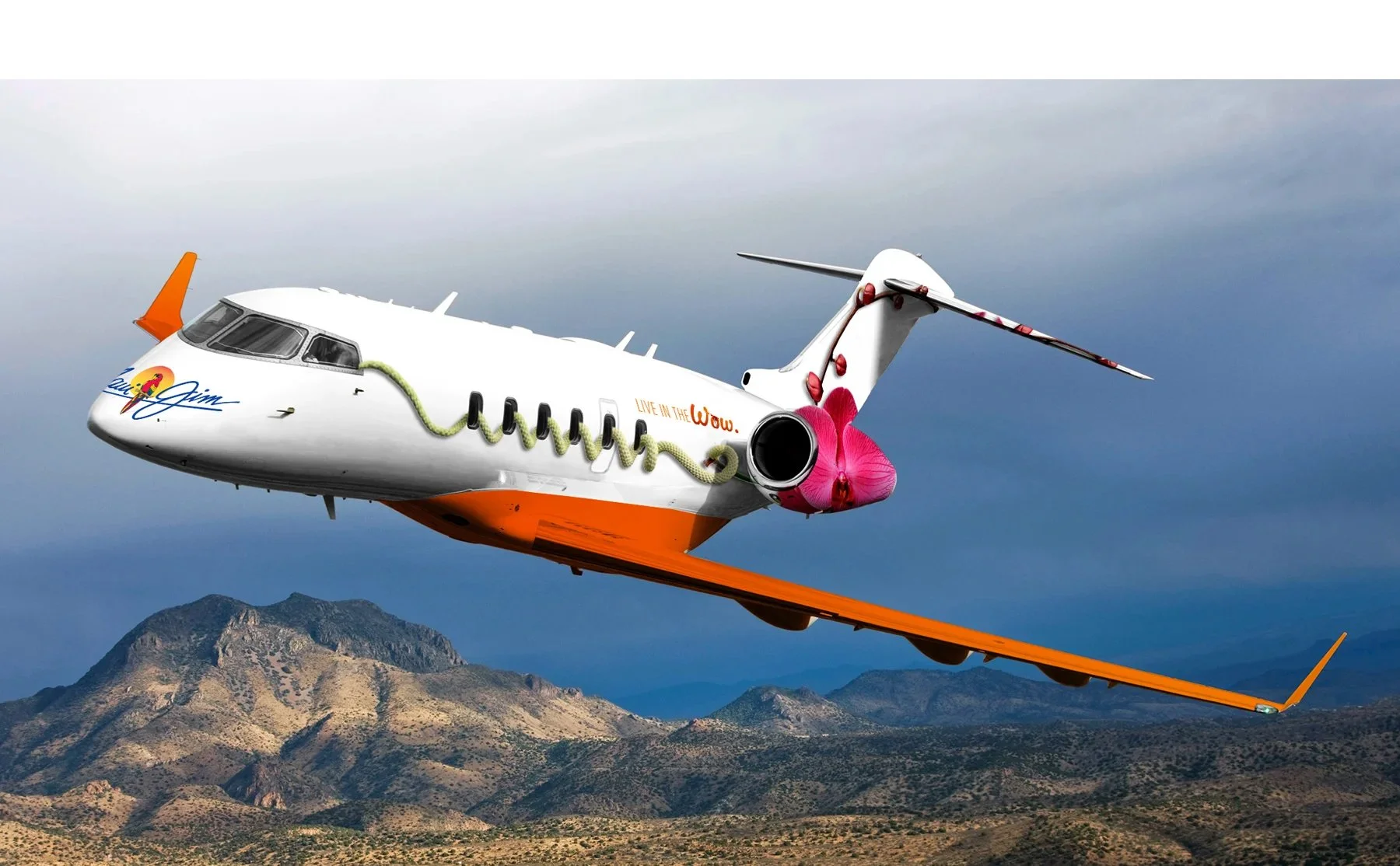 MJ_plane.jpg