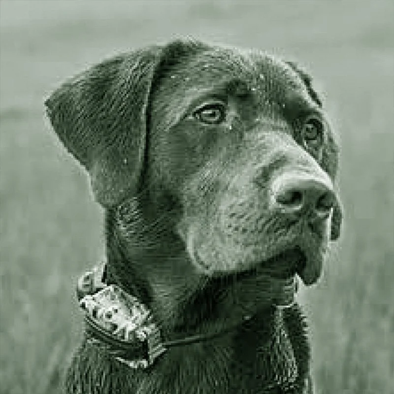 Nationwide Sportsmen