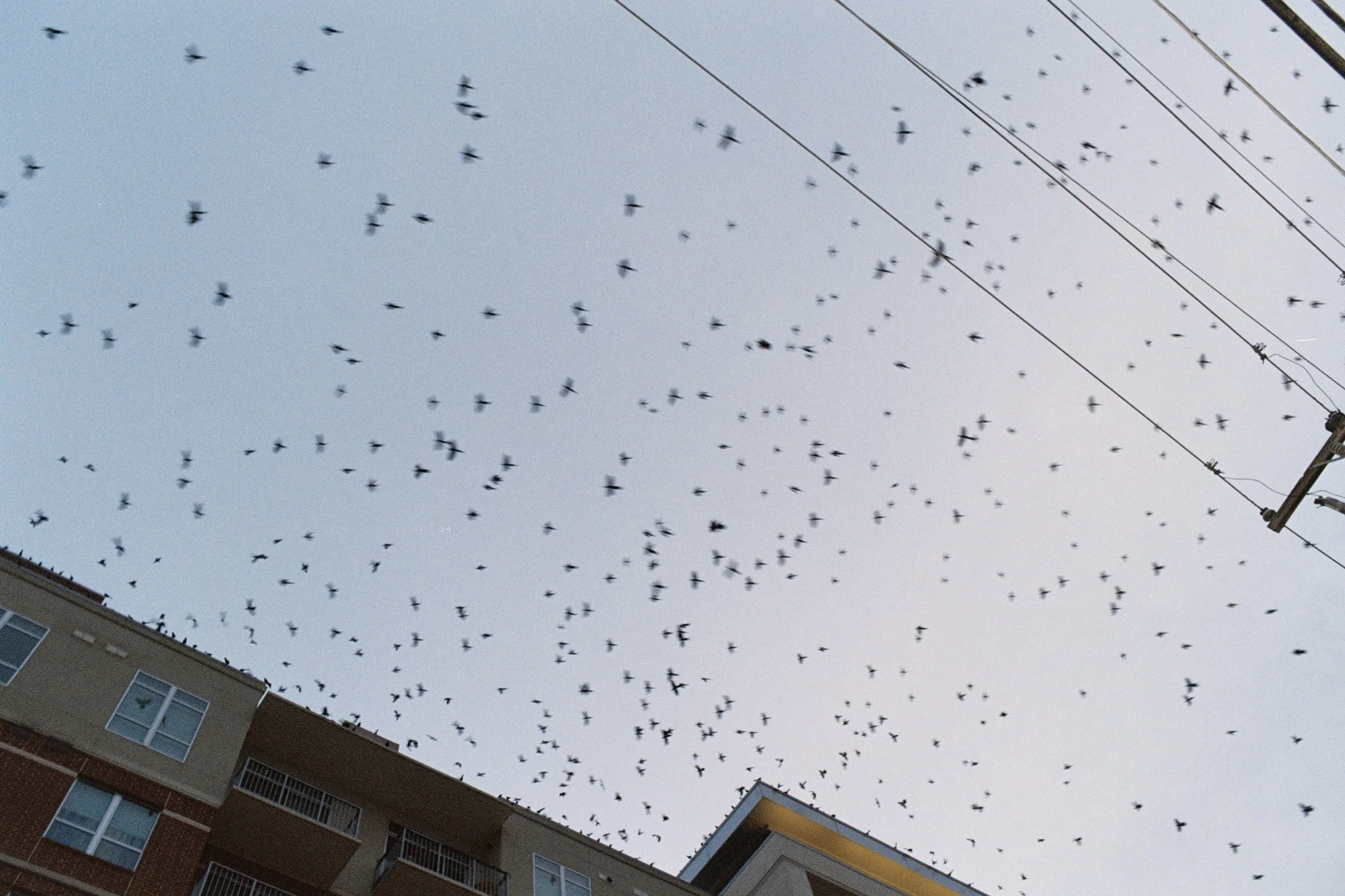 Austin5AA012A copy.jpg