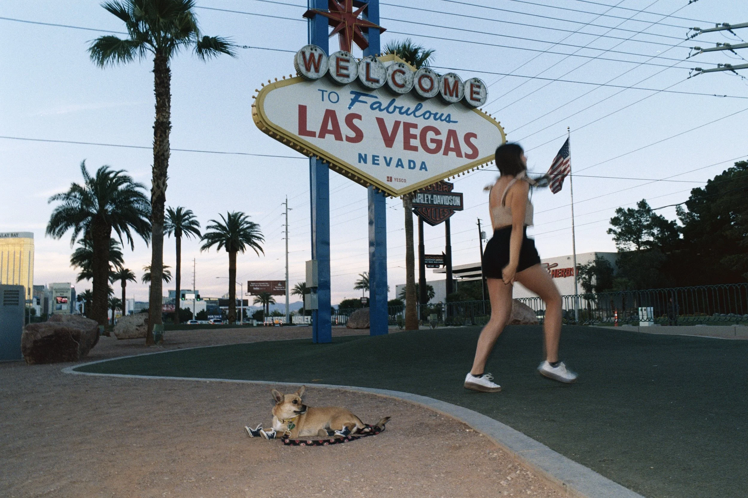 Vegas1AA034.jpg