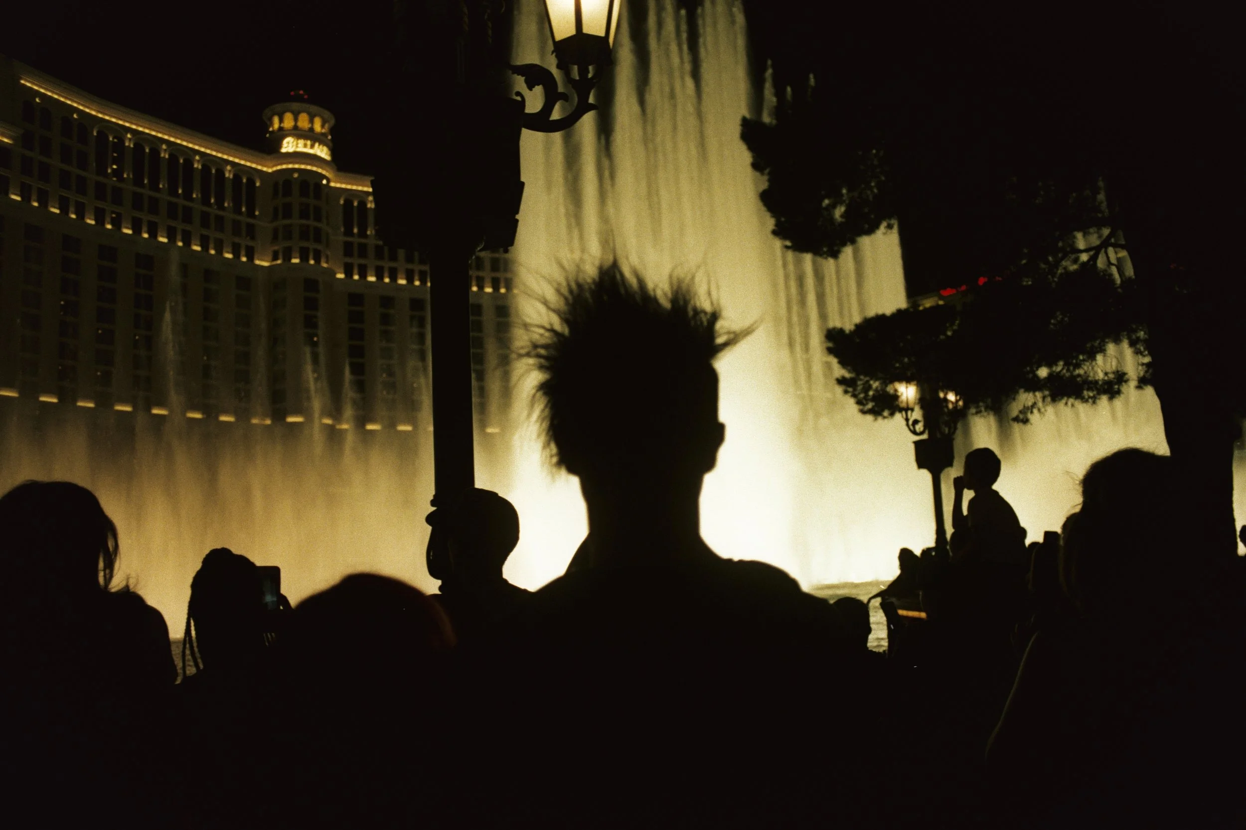 Vegas2AA022A.jpg