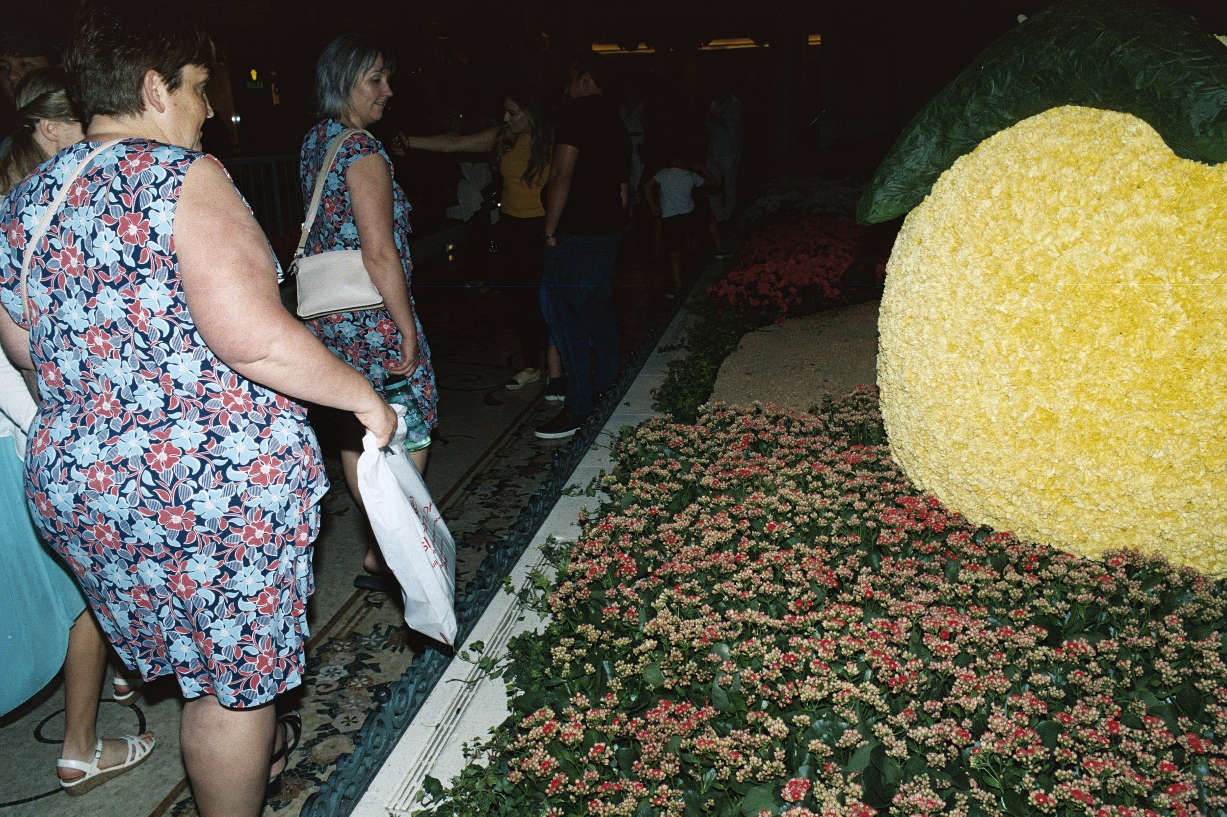 Vegas2AA016A.jpg