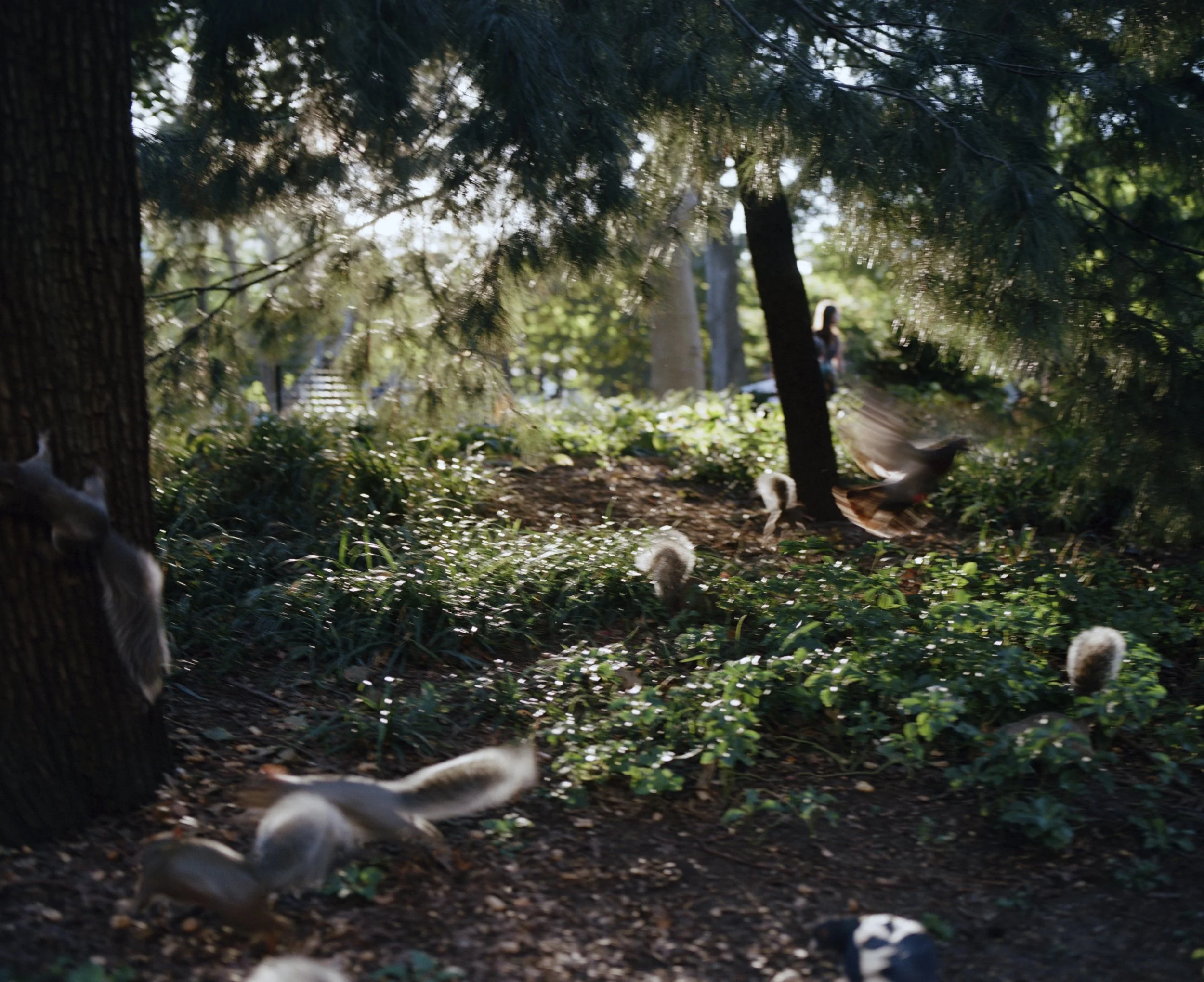 0007_4_2 5.jpg