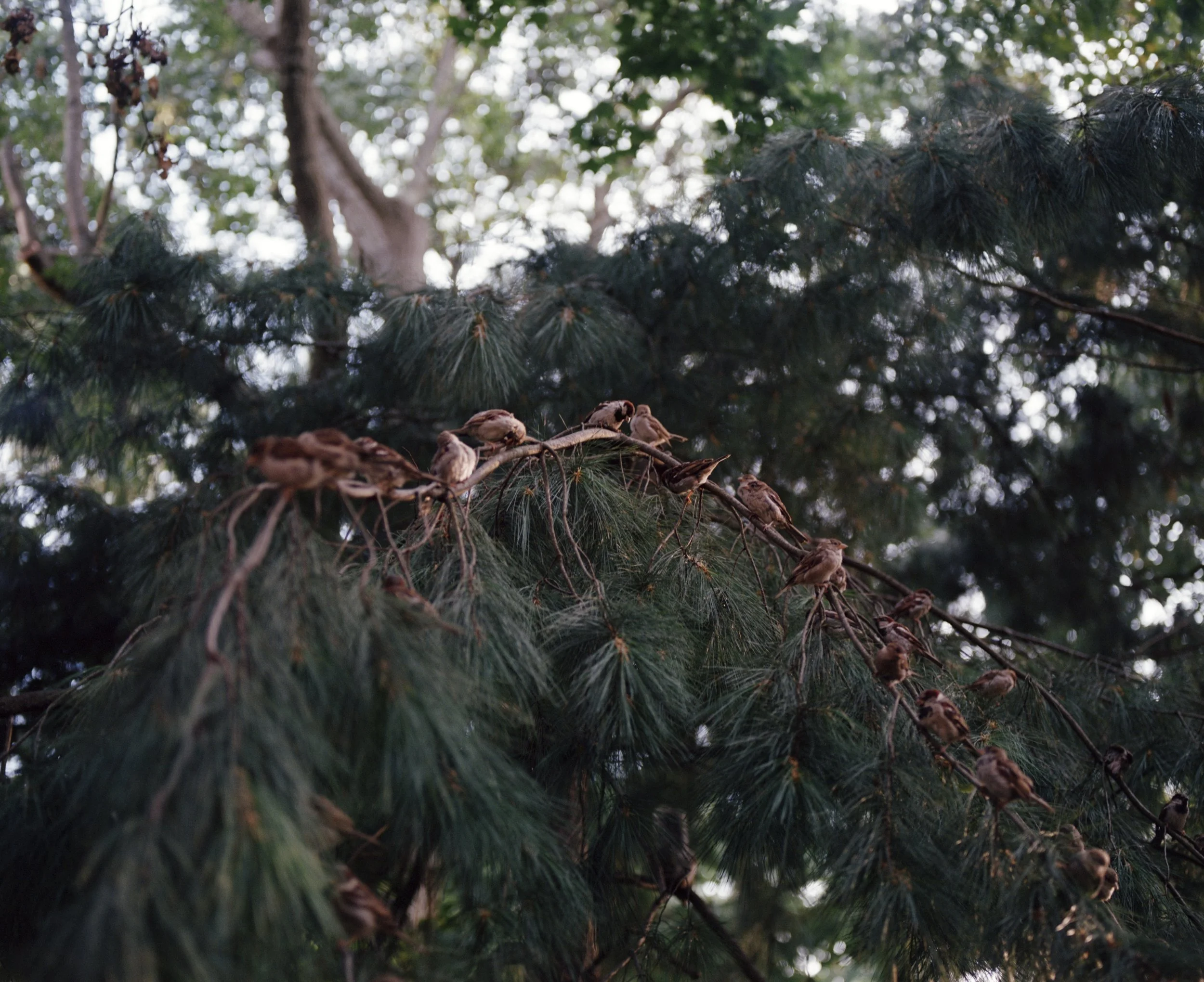 0003_8_2 4.jpg