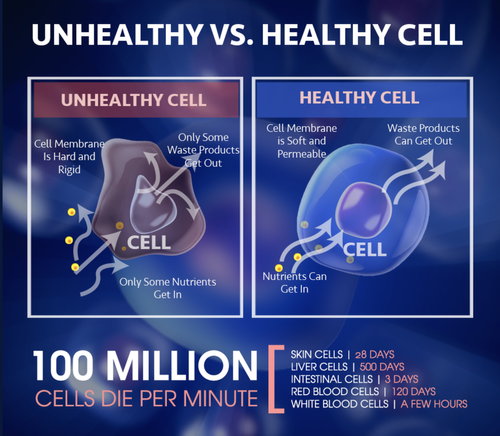 Cellular Nutrition