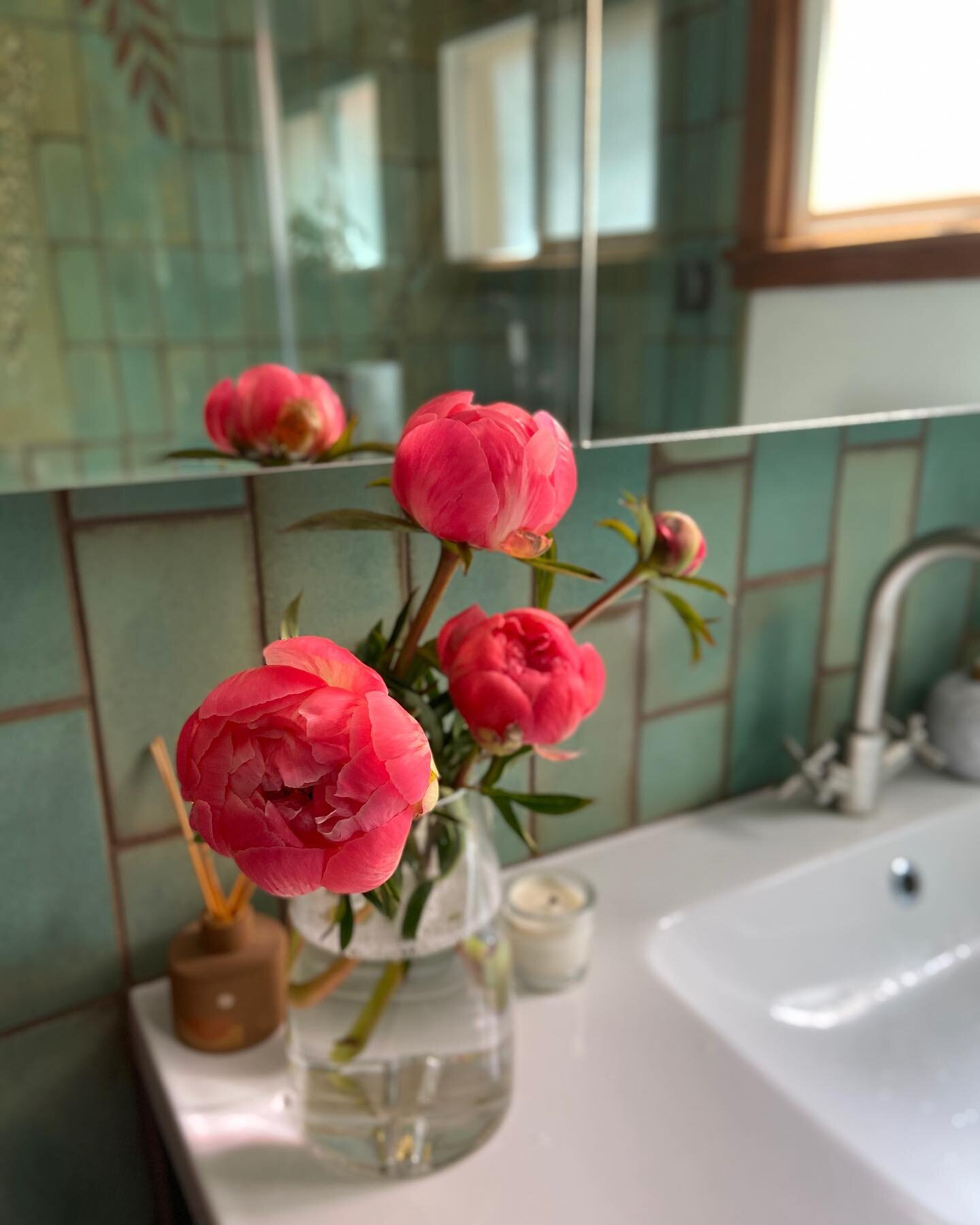 Having peony in the house is a seasonal treat I&rsquo;ve gotten used to over the years. I braved the outside world the get these beauties, and I&rsquo;m extremely grateful to have this shred of normalcy by way of flowers.
#peony #bathroomflowers #bat