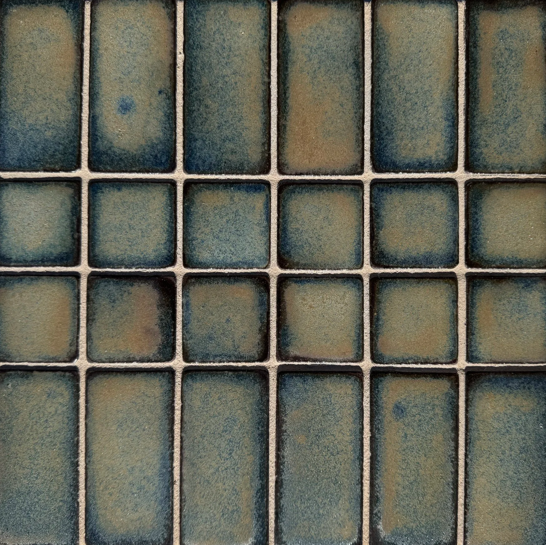 IMG_8893.png