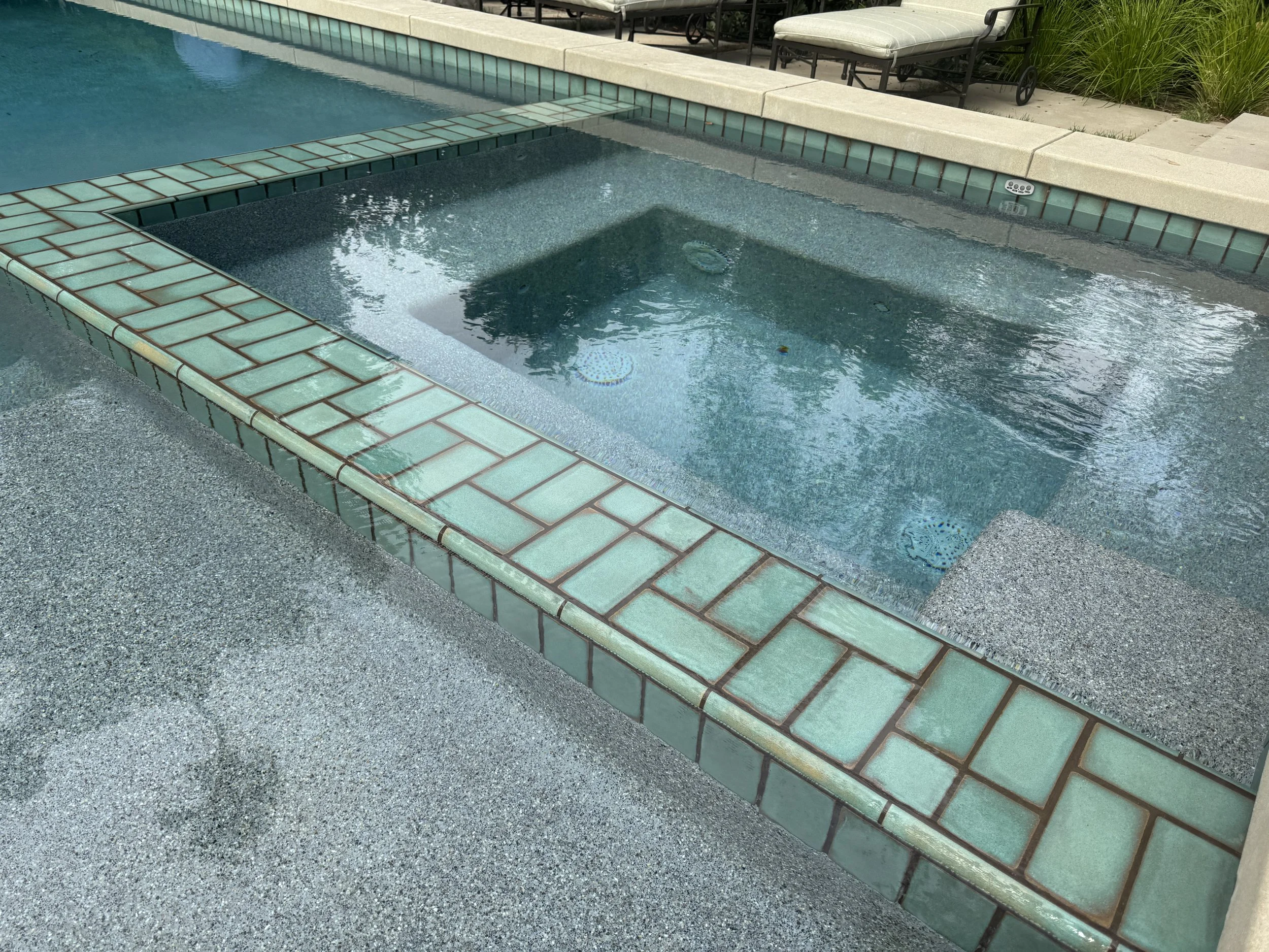 Cattern pool 2.jpg