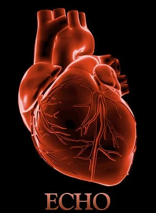 Echocardiography