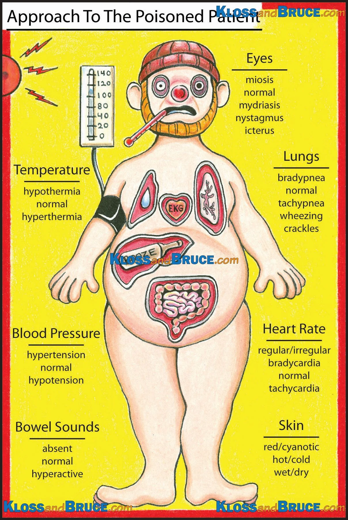 APPROACH TO THE POISONED PATIENT