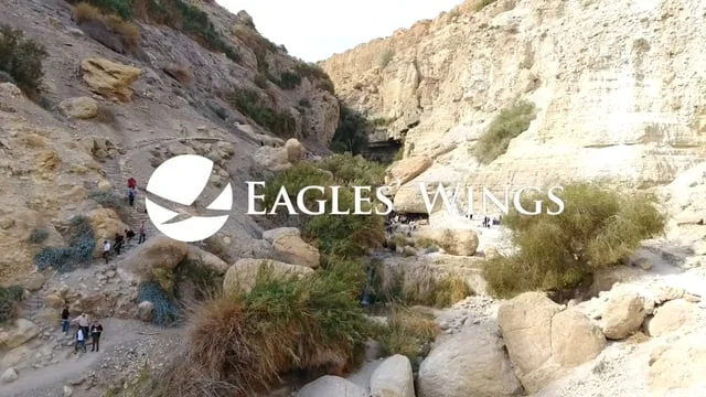 Eagles' Wings :: The Rising Remnant