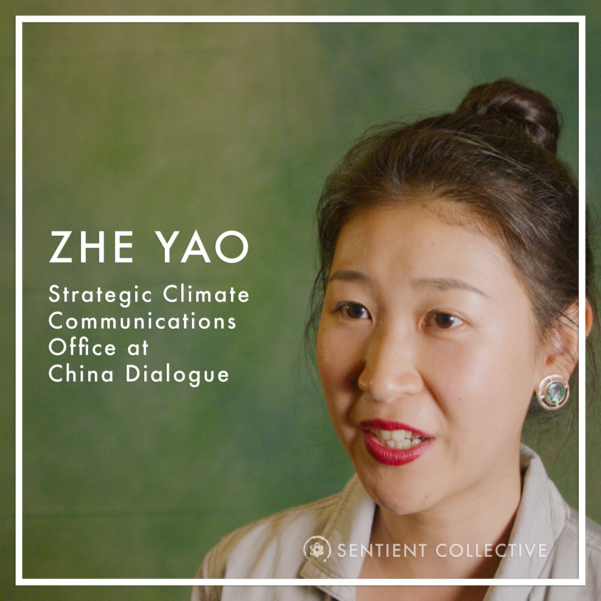 Earth Documentary Film🎬
🆂🅴🅽🆃🅸🅴🅽🆃
.
Cast Intro:
𝗭𝗵𝗲 𝗬𝗮𝗼 (@zzyemilie)
Strategic Climate Communications Officer at China Dialogue (@china_dialogue)
.
Yao Zhe is an esteemed professional with a strong academic background, holding a bachelo