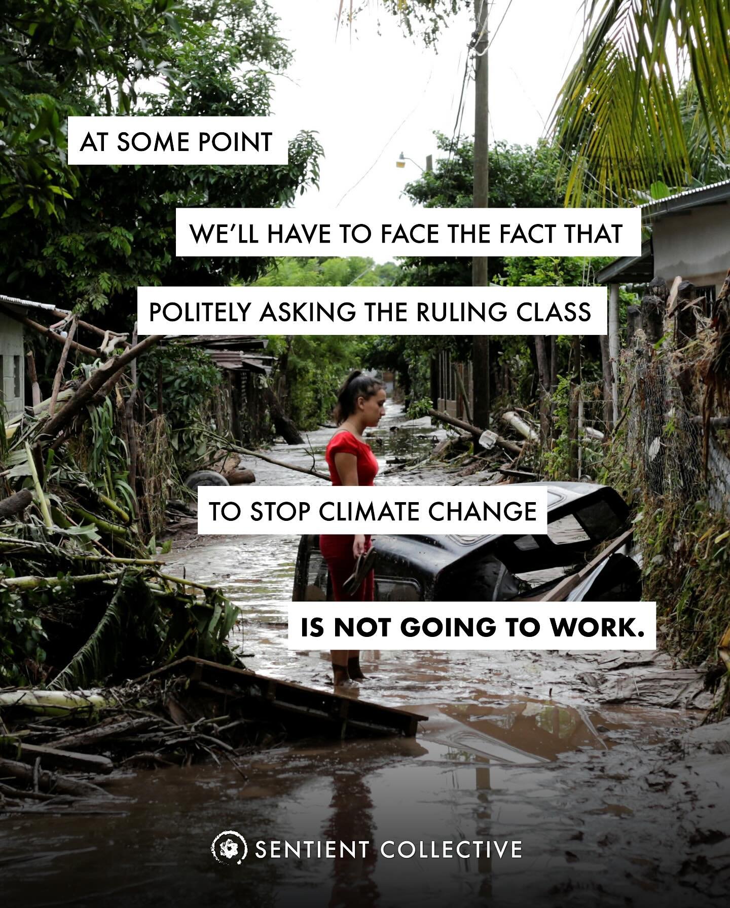 At some point, we must confront the truth: politely appealing to those who profit from destruction will not halt the unraveling of our planet. The ruling class has shown again and again that their wealth depends on denial, delay, and distraction. The