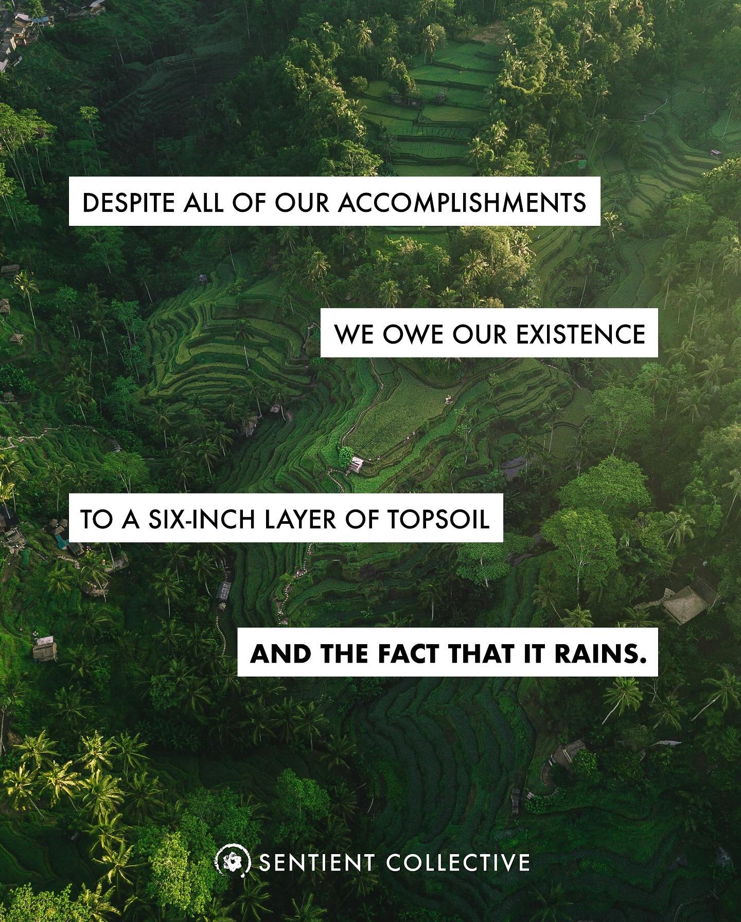 All we are rests upon a fragile skin - just six inches of topsoil, alive with unseen worlds. From it rise forests, fields, and futures. Without it, there is no food, no song, no tomorrow. And from above, the rain - a celestial rhythm - feeds the soil
