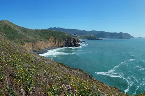 Mori-Point-Cover.jpg