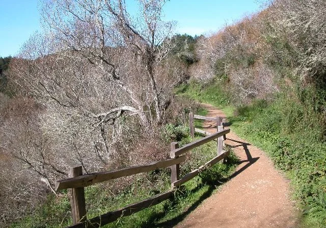 Hike at Point Reyes National Seashore