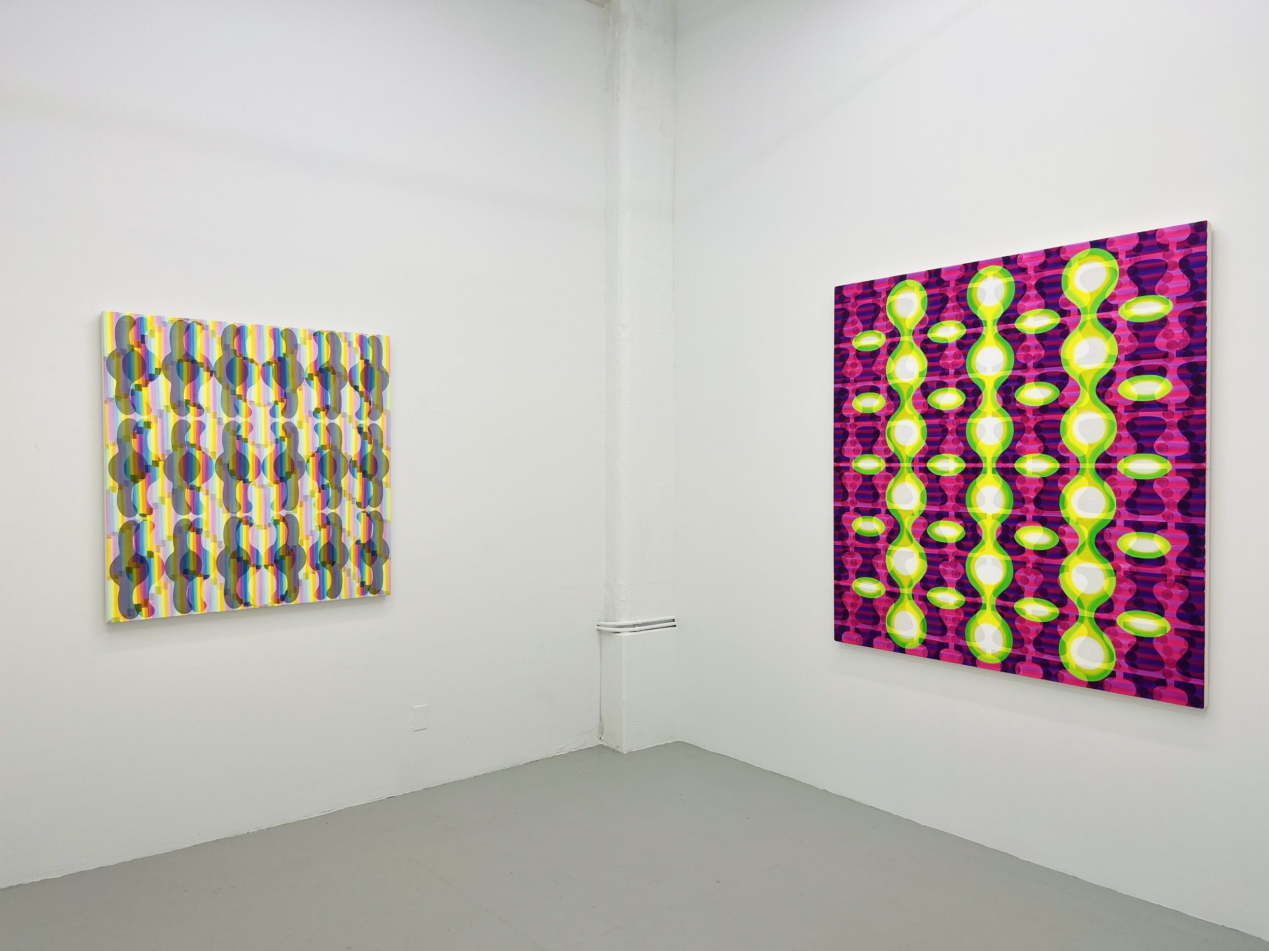  Nate Ethier: Optics, David Richard Gallery, New York, NY, June 2023 