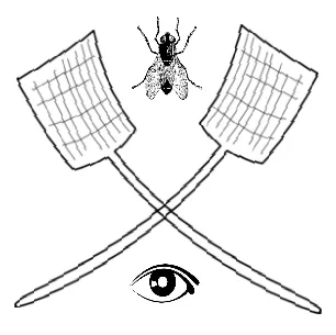 The Ancient Seal of Ferding and the Fly