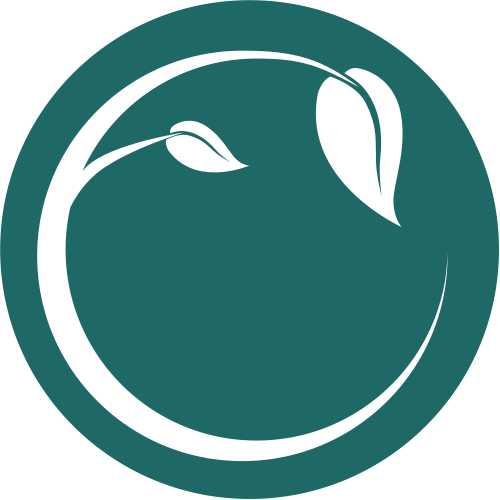 Article editing | Mindful Beginnings