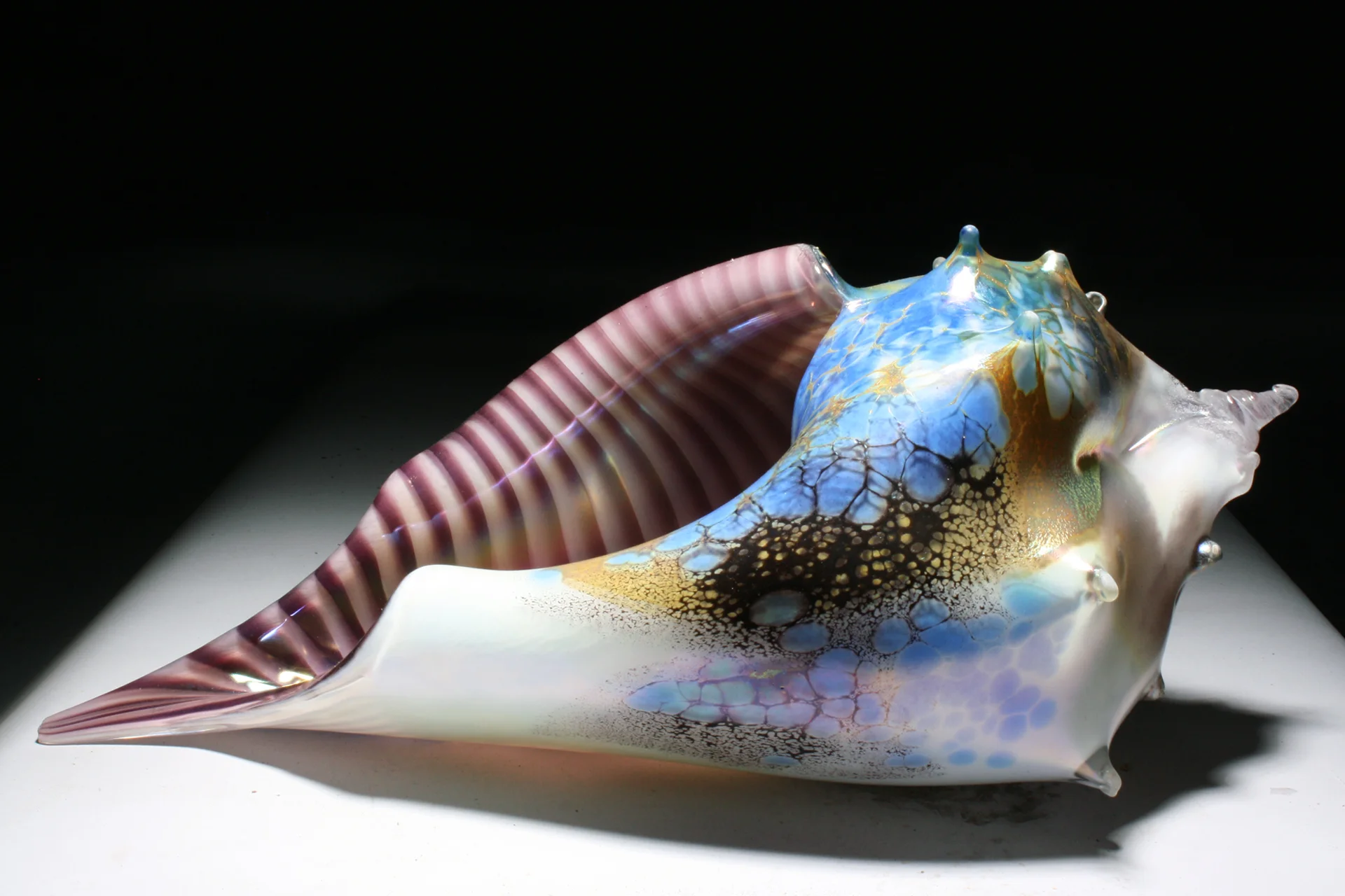 Iris violet Sea shell