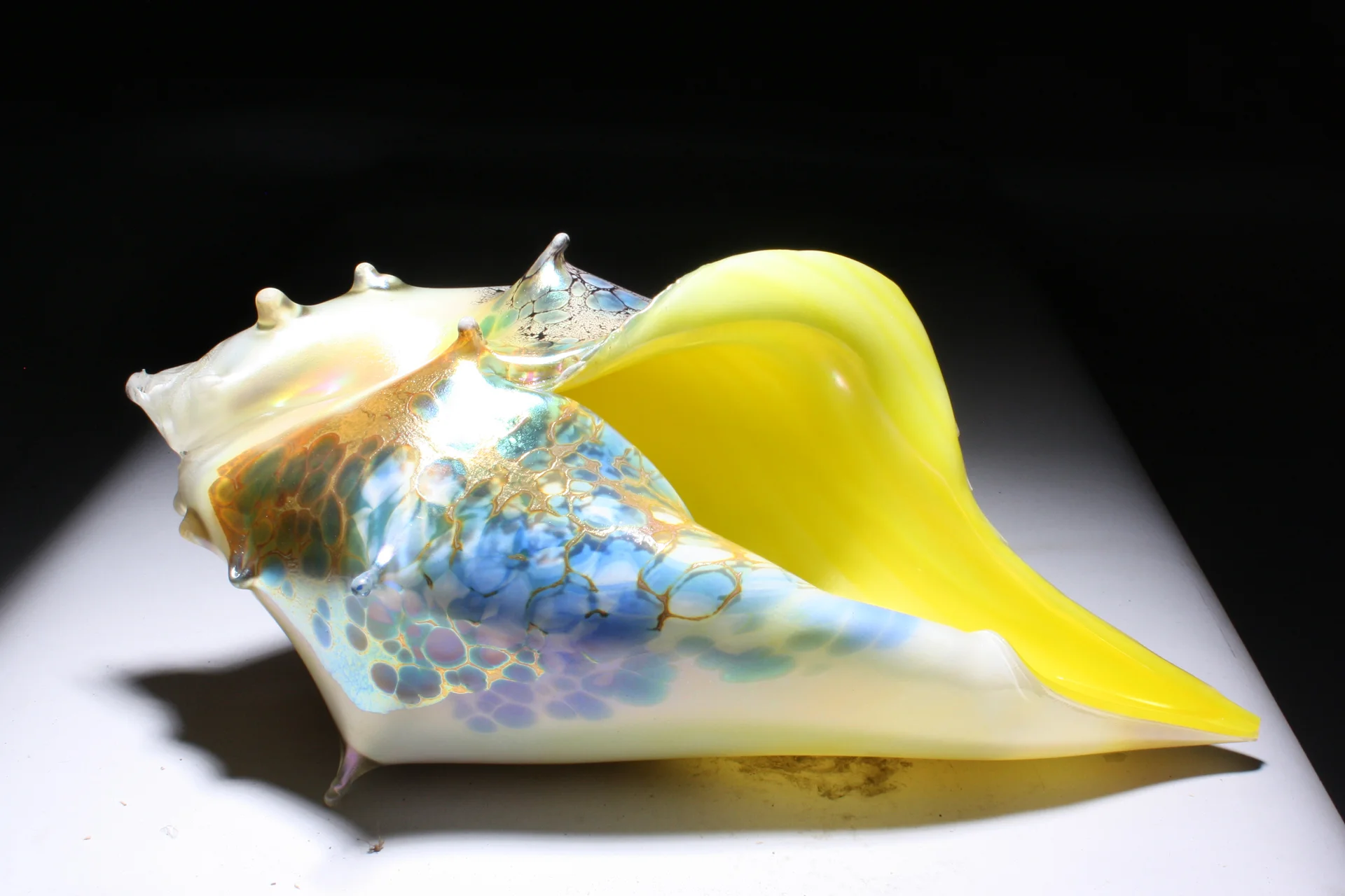 Honey yellow sea shell