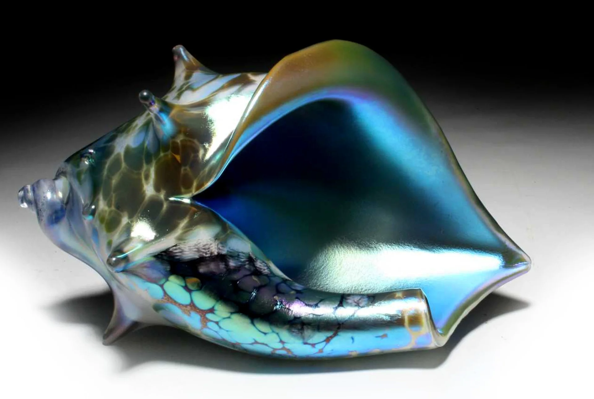 winter marine 2shell8inx5in.JPG