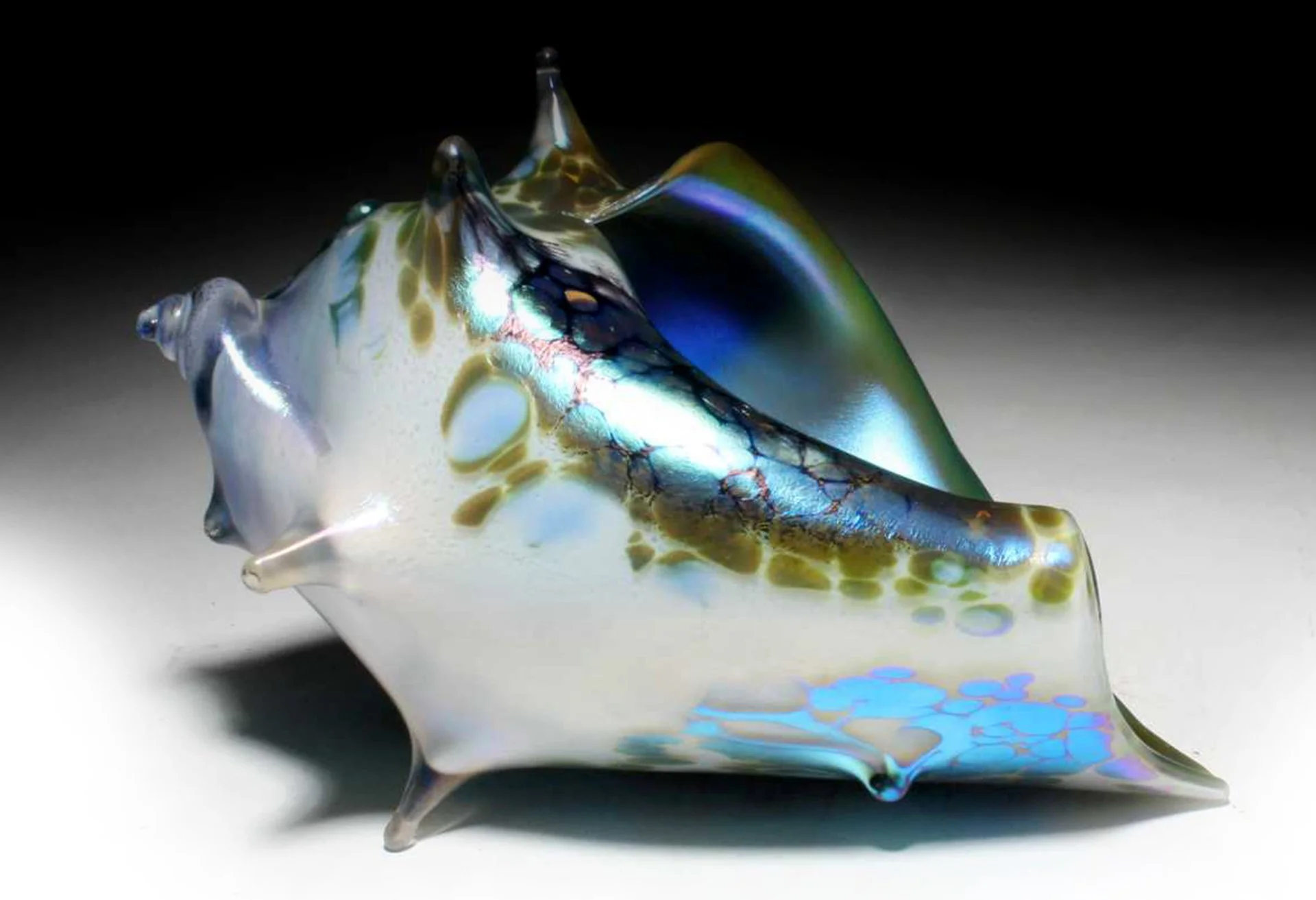 winter marine shell8inx5in.JPG