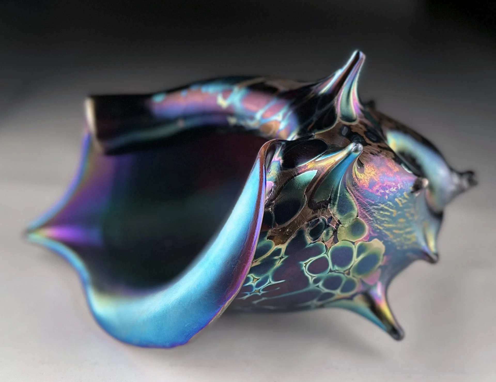 Onyx midnight shell 8x5 (3).jpg