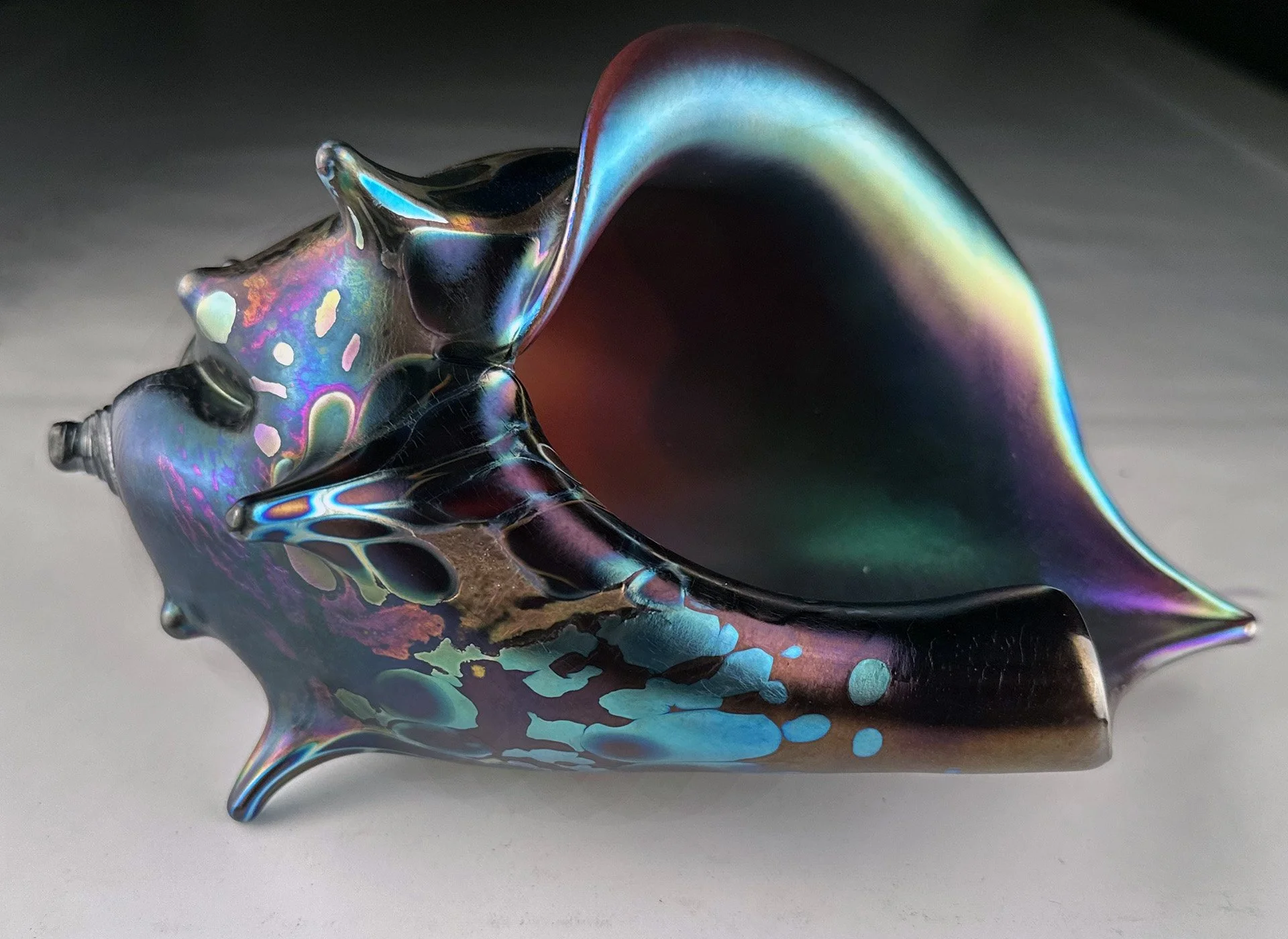 Onyx midnight shell 8x5.jpg