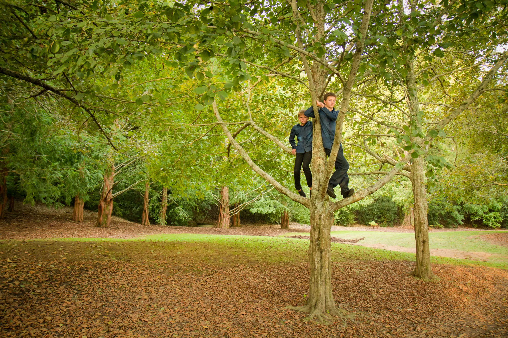 Te-Awamutu-childrens-photography.jpg