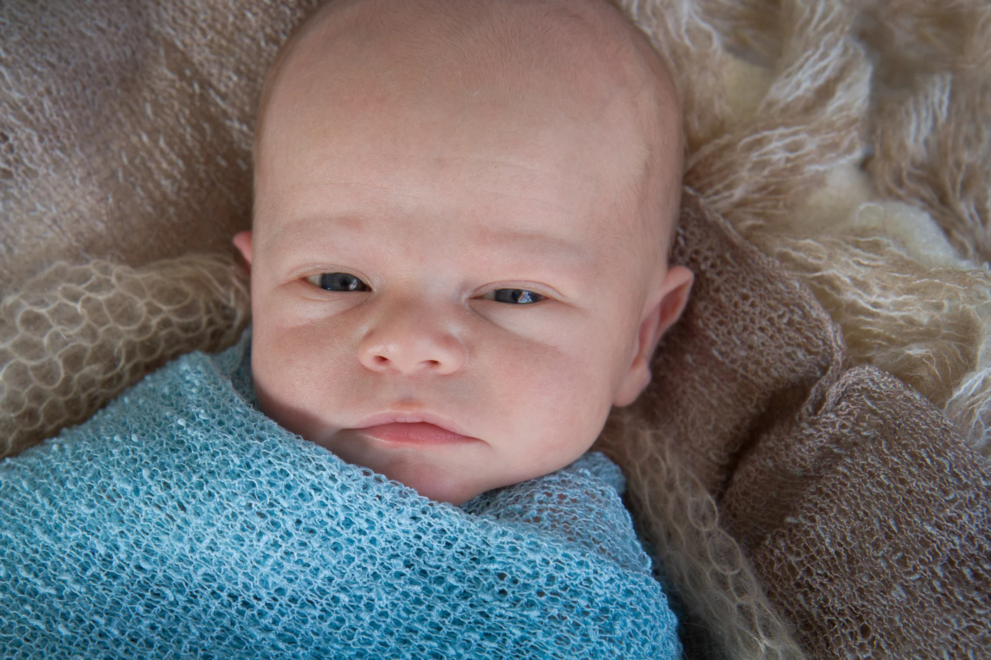 Te-Awamutu-baby-photographer.jpg