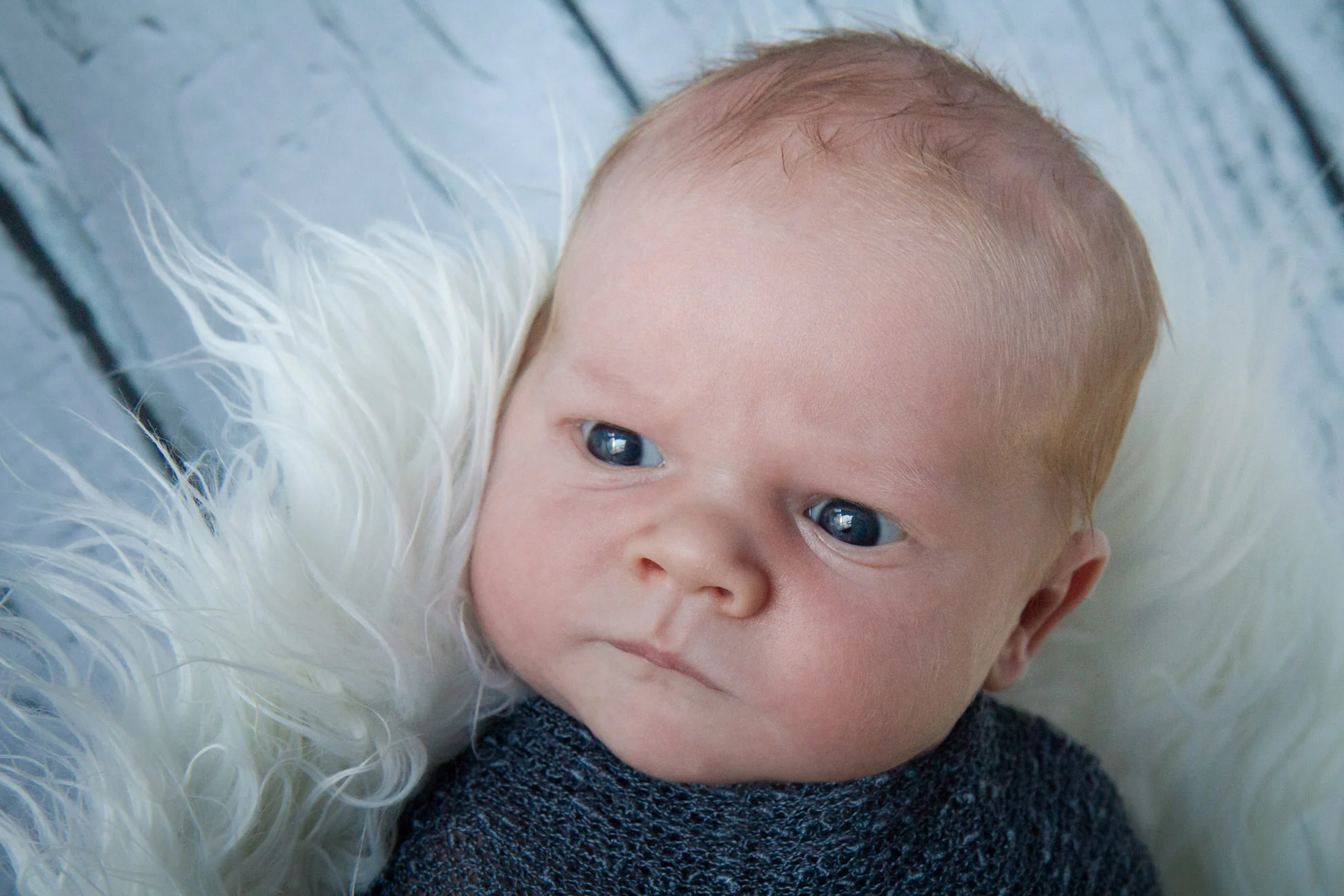 Quinn  |  Tamahere newborn photographer