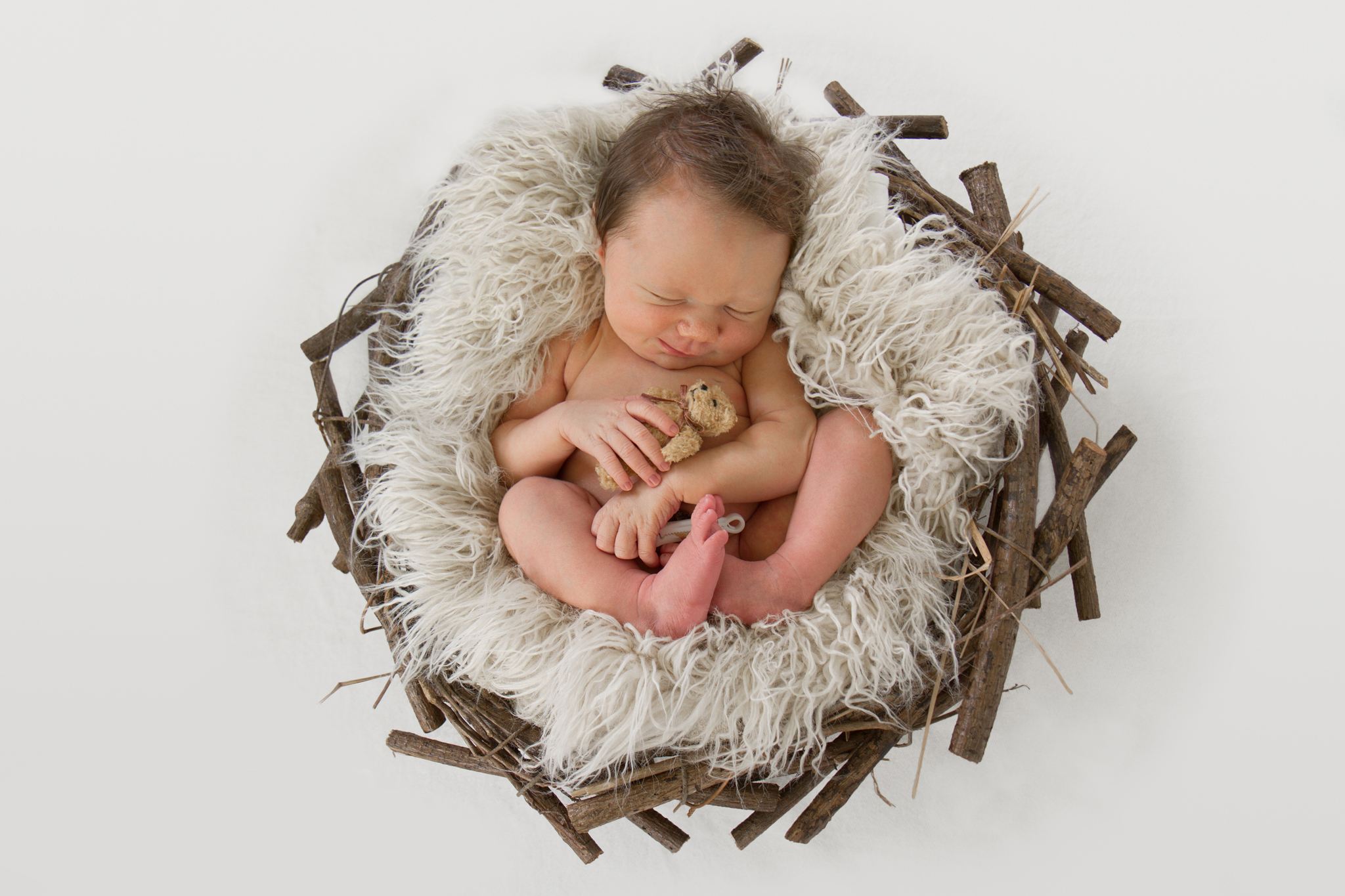 Te-Awamutu-newborn-photographer-baby-snuggled-in-basket-with-teddy-bear.jpg