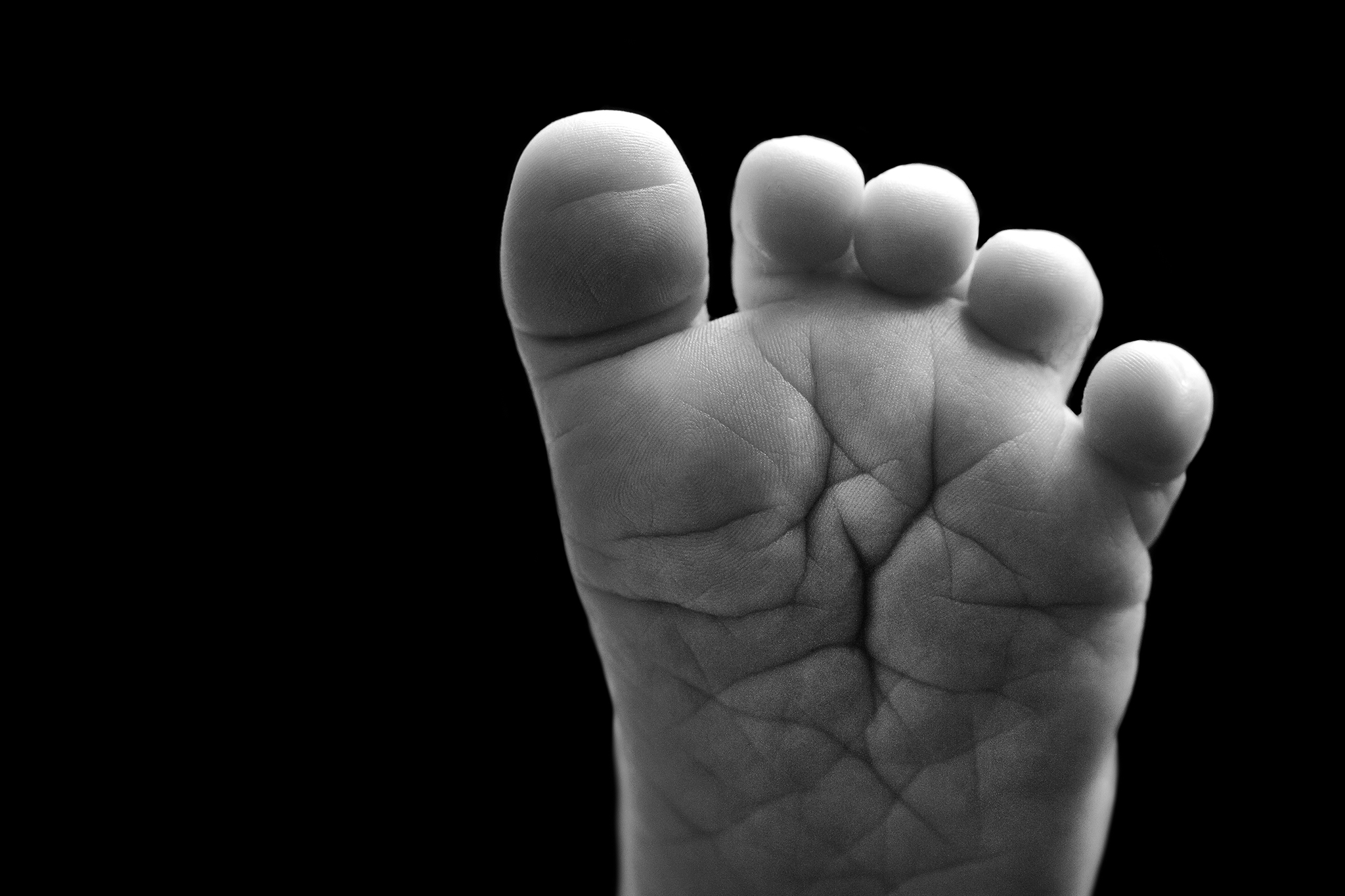 Hamilton-newborn-photographer-baby-feet.jpg