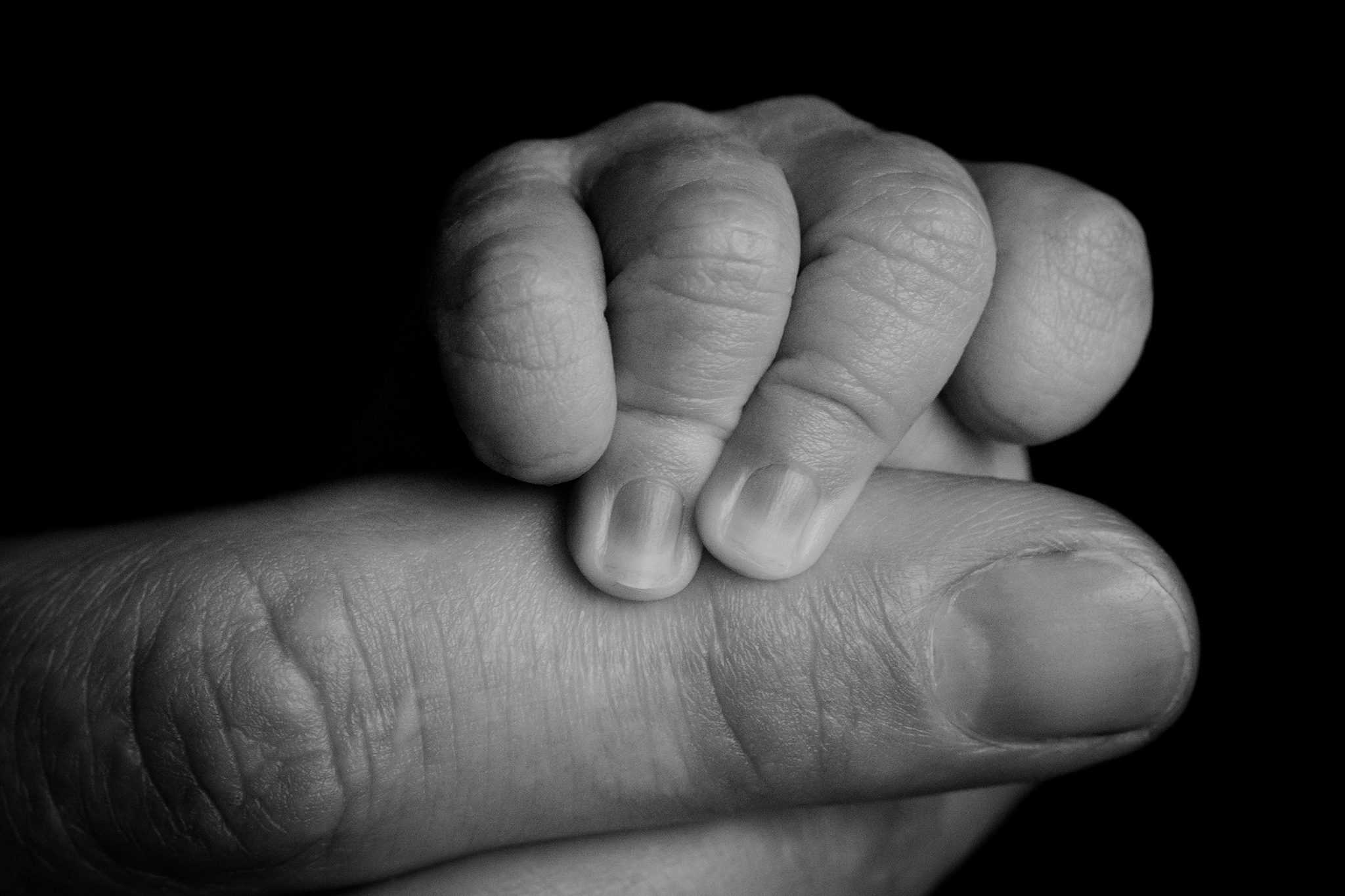 Waikato-newborn-photographer-baby-hands.jpg