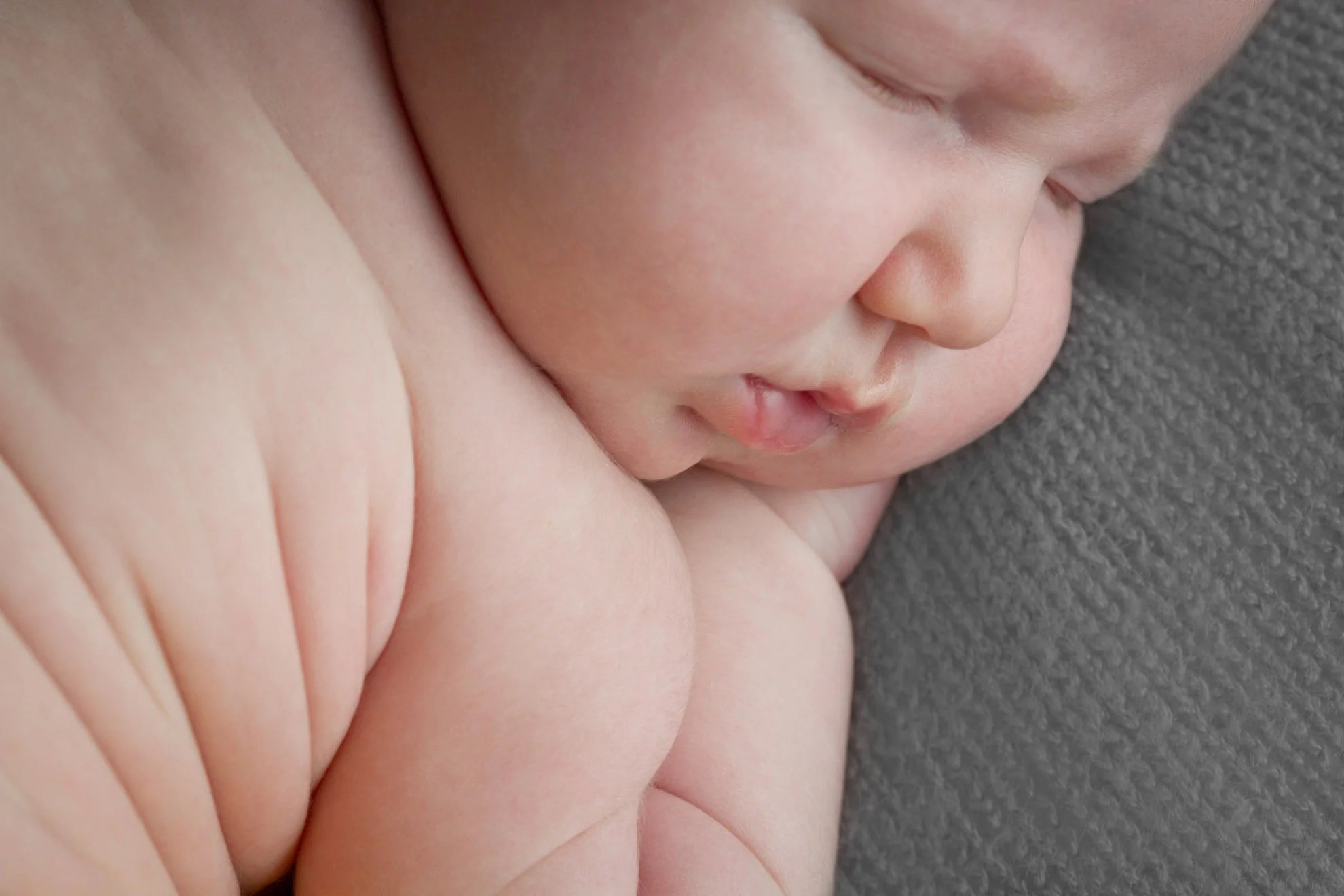 Waikato-newborn-photography.jpg