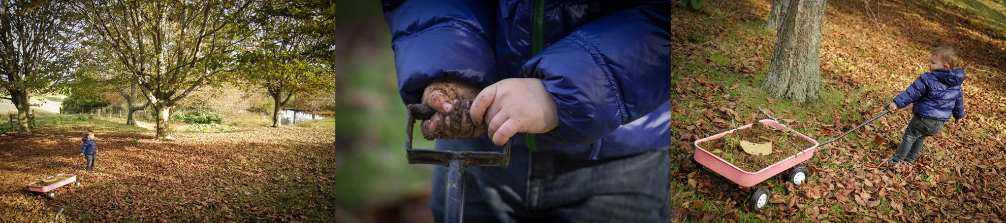 Hamilton-photographer-outdoor-play-session-with-toddler.jpg