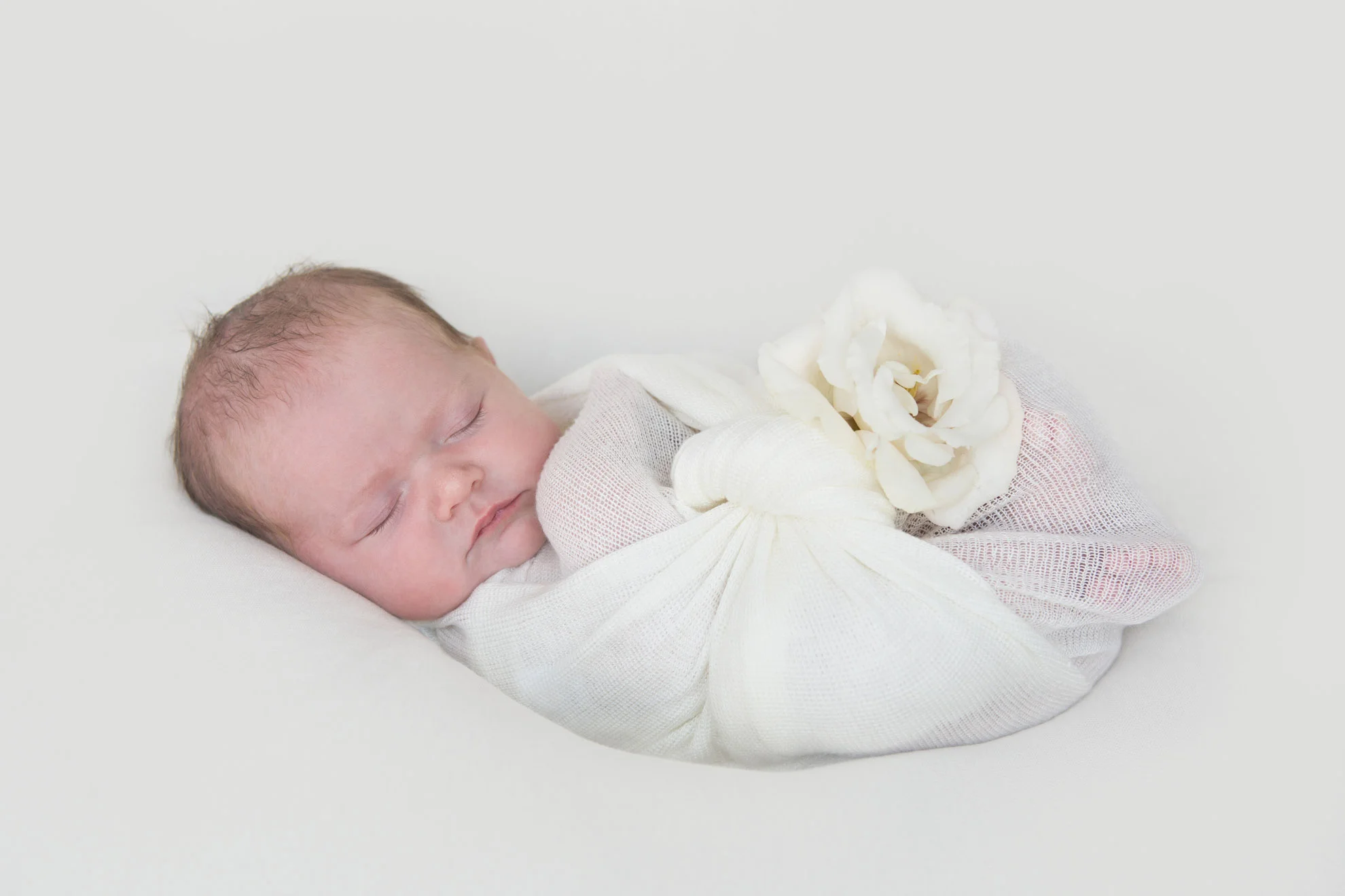 Waikato-newborn-photographer.jpg