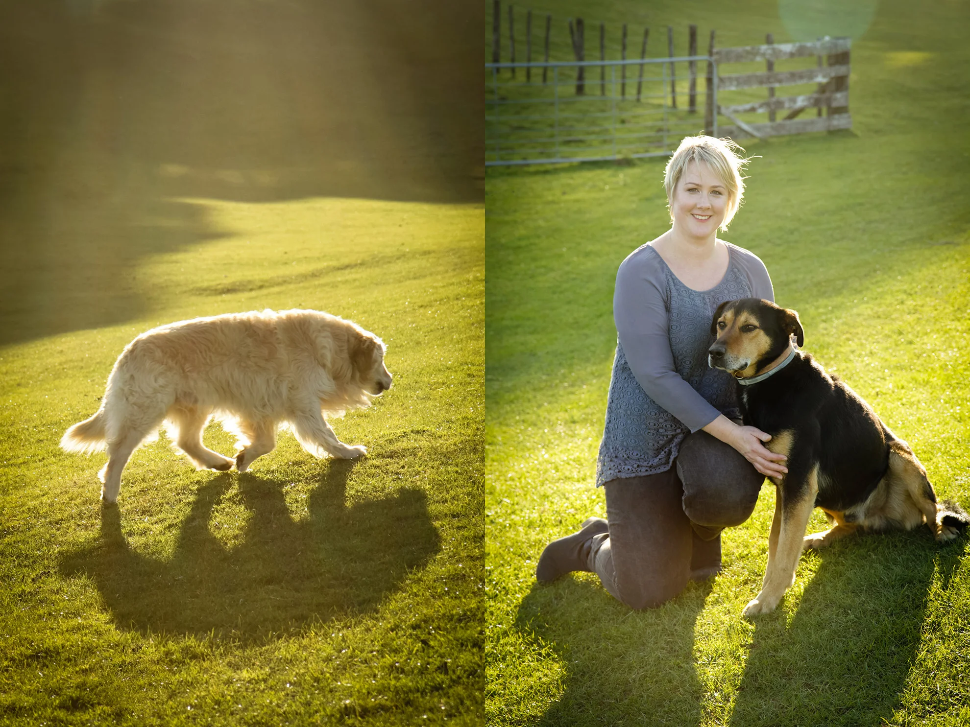Hamilton-family-photographer-4-legged-family-included.jpg