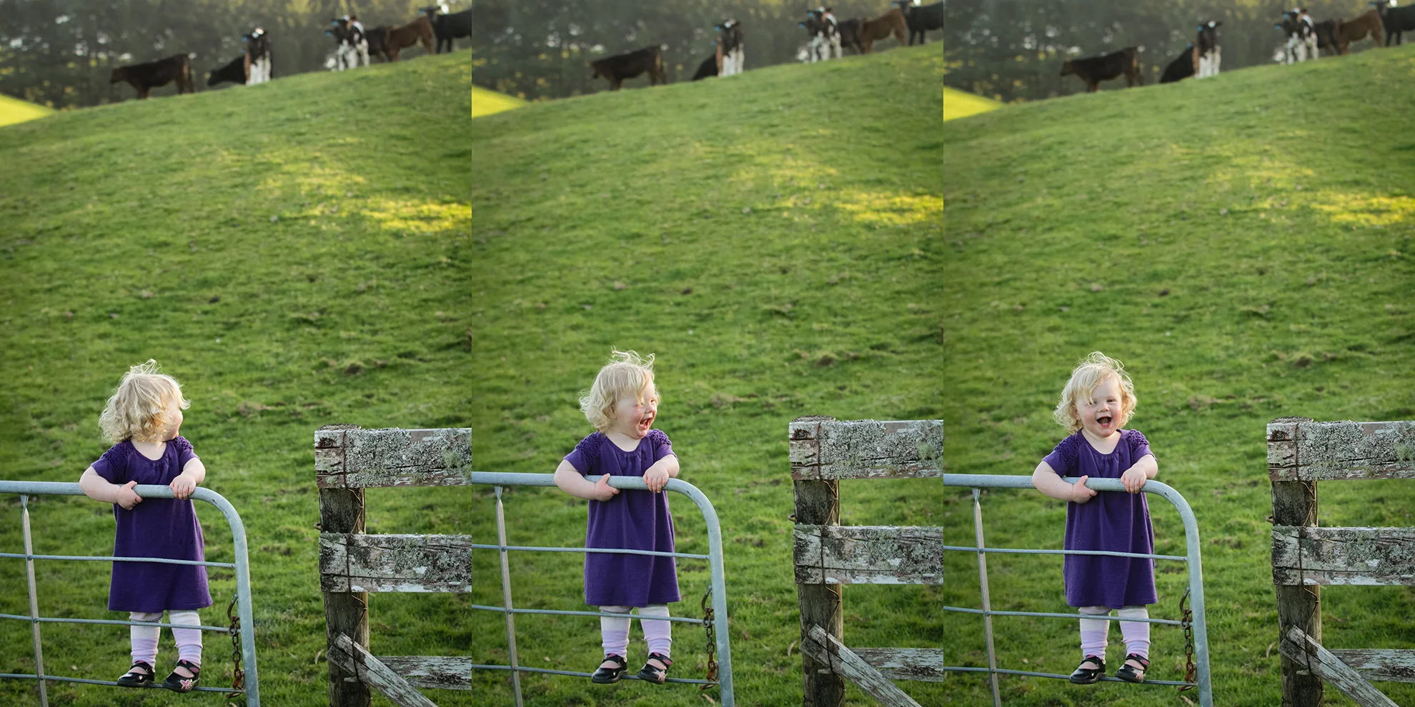 Waikato-lifestyle-photographer-Piopio-farm-session.jpg
