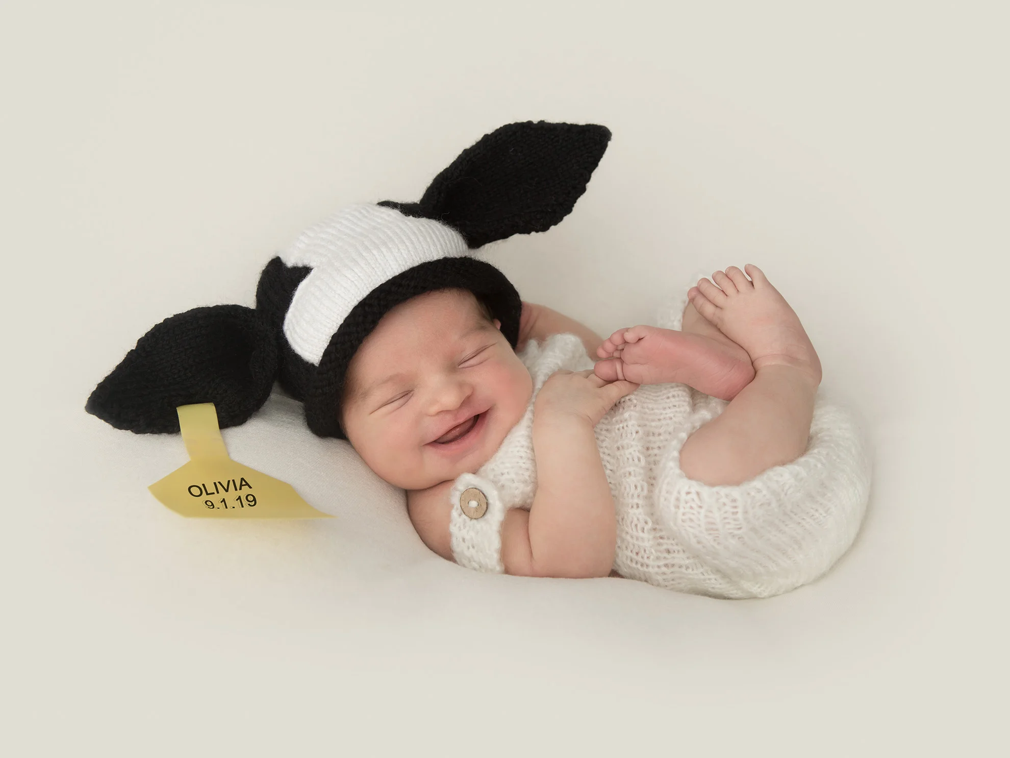 Newborn-photography-design-baby-cow-with-ear-tag.jpg