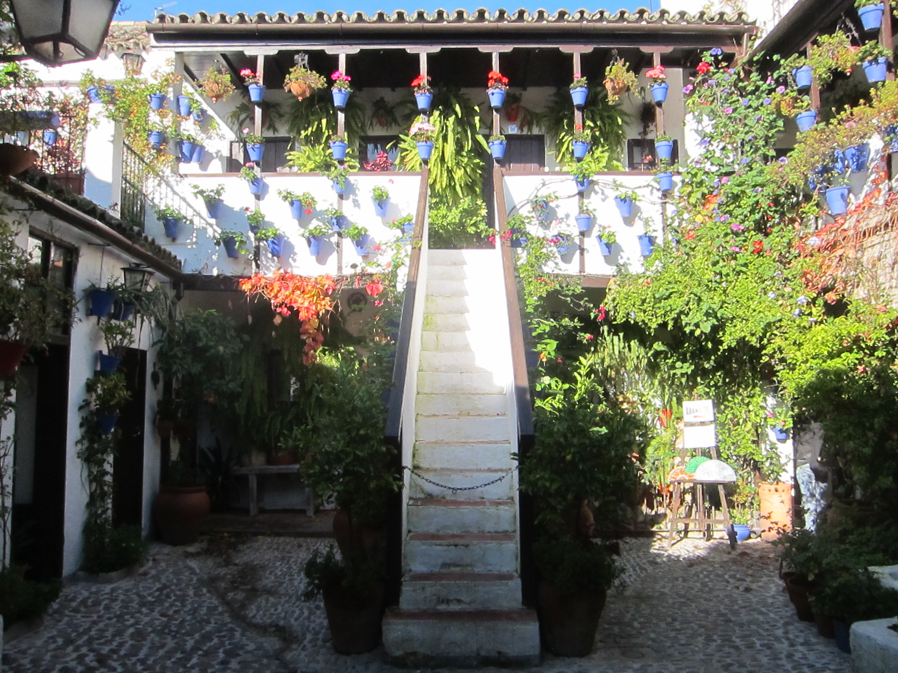 Asociación Amigos de los Patios Cordobeses patio 