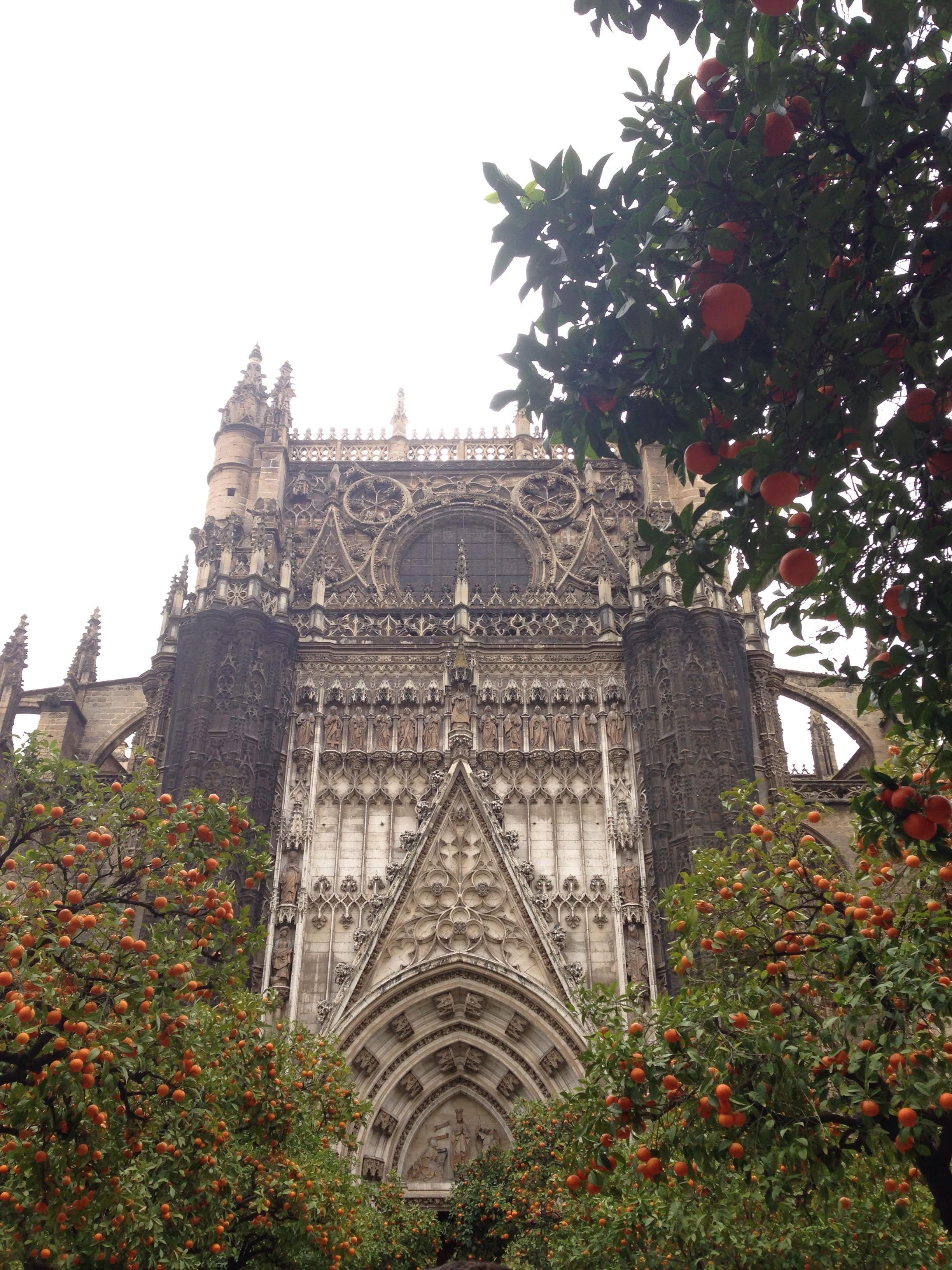 The Cathedral of Seville surrounded by typical orange trees.