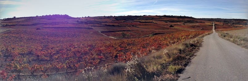 IMG_3216-PANO.jpg