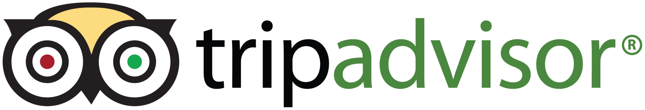 TripAdvisor-logo.png
