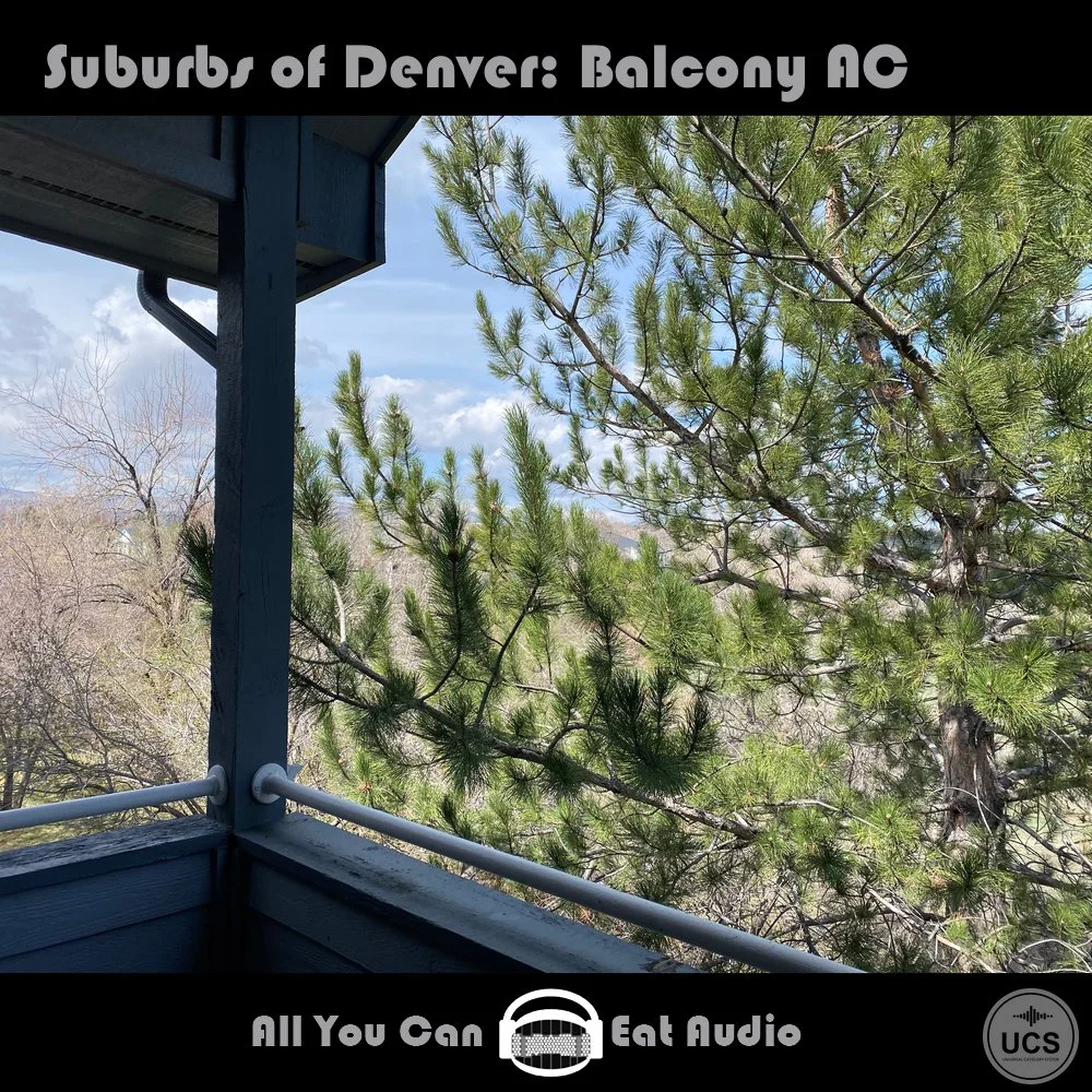 Suburbs of Denver_Balcony AC_Cover_AYCEA.jpg